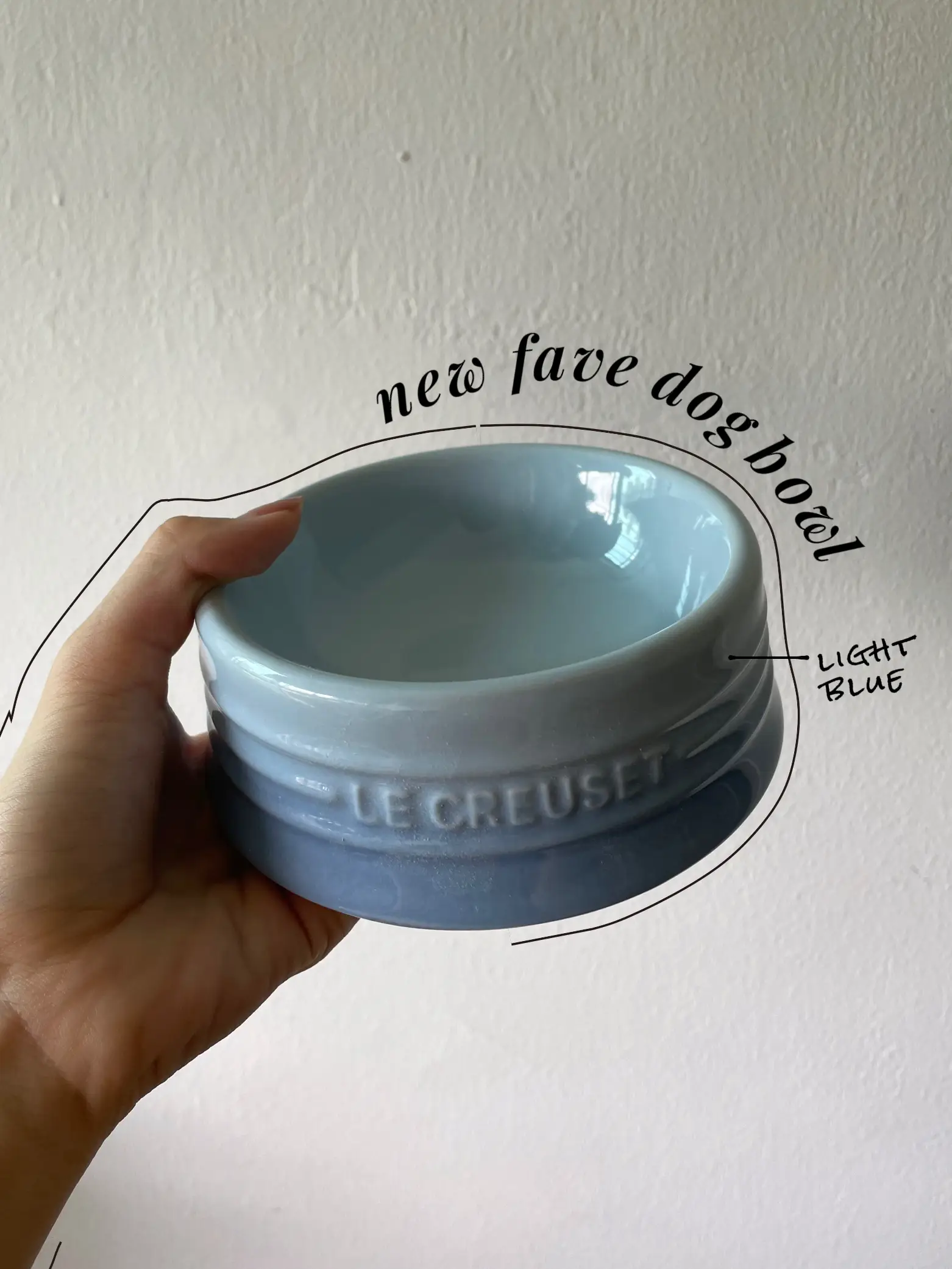 Le creuset clearance dog bowl