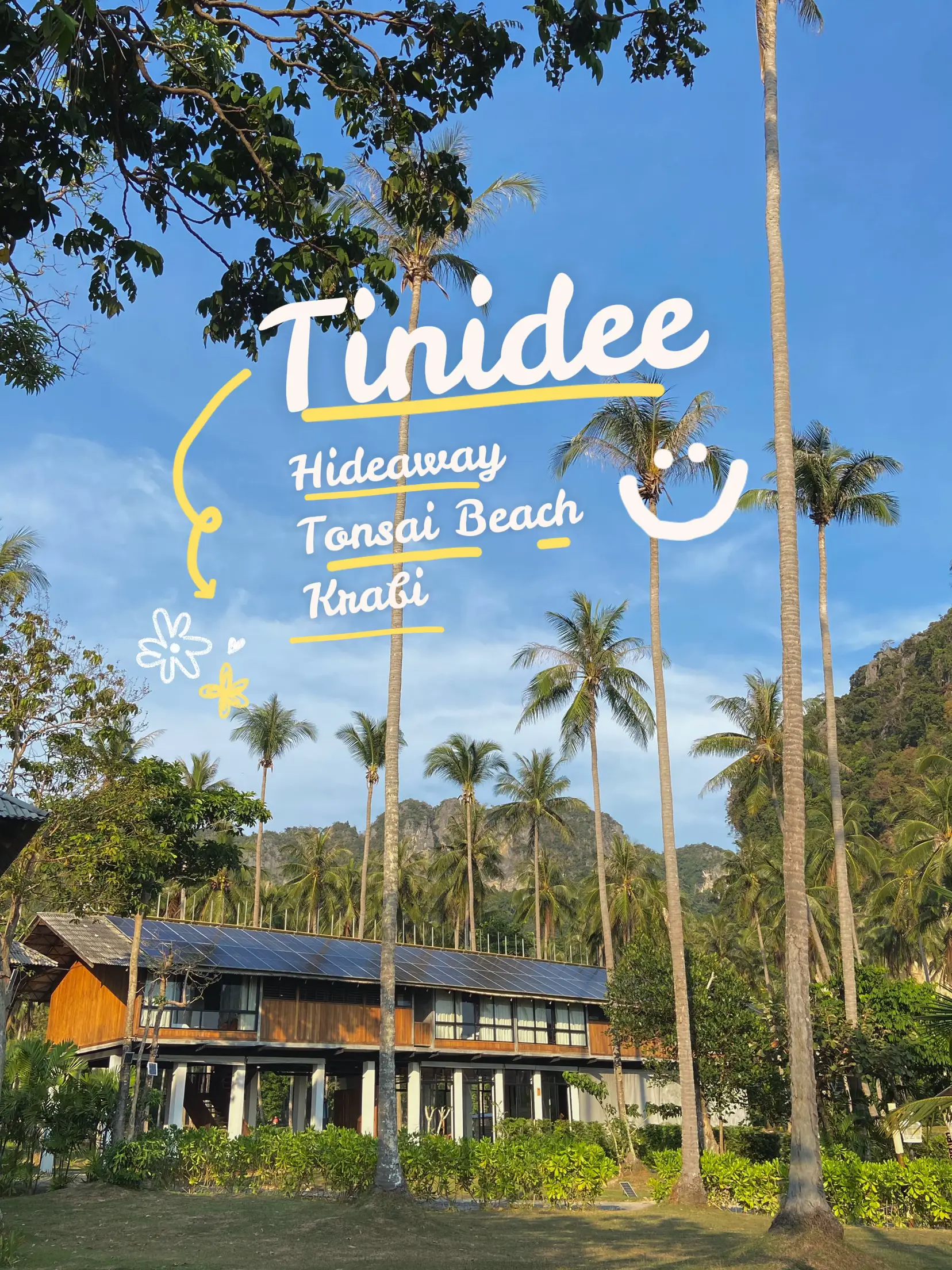 tinidee-lemon8