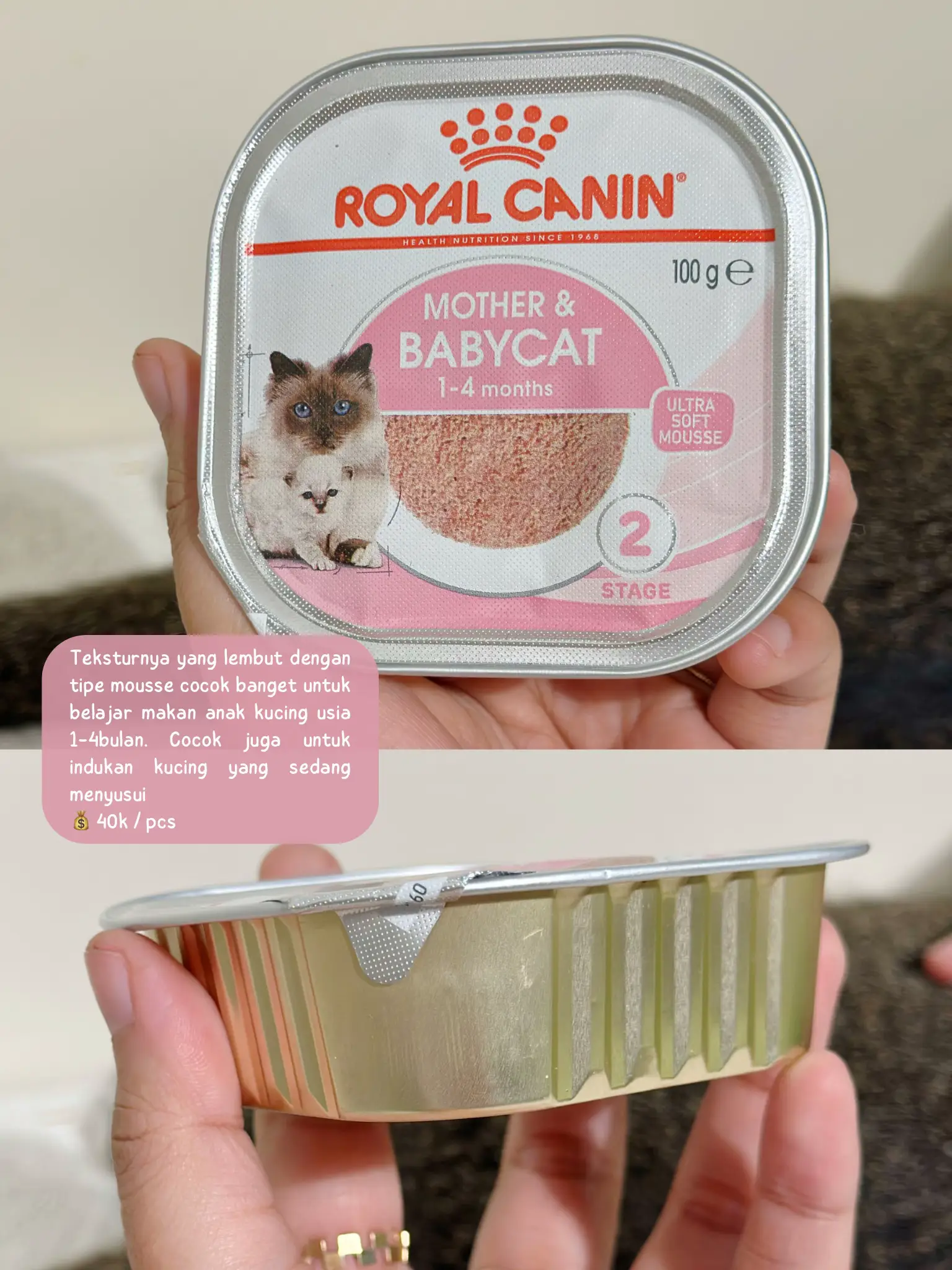 Royal canin recovery outlet untuk kitten