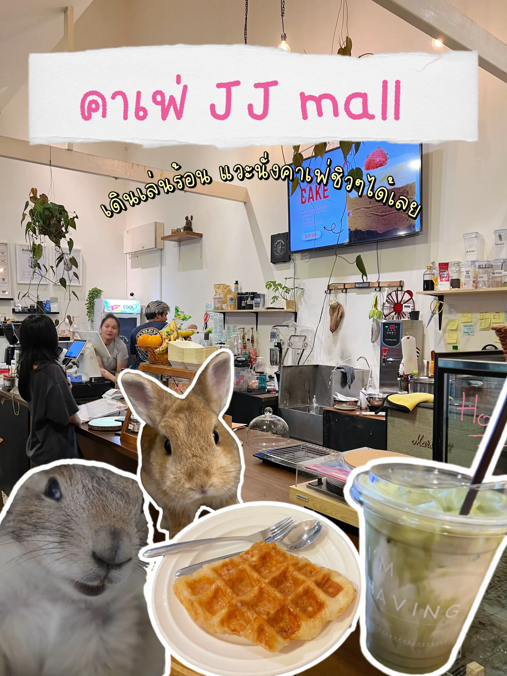 คาเฟ่ JJ mall เดินรัอนๆแวะพักได้ 🥵 | แกลเลอรีที่โพสต์โดย Bunnykukkik ...