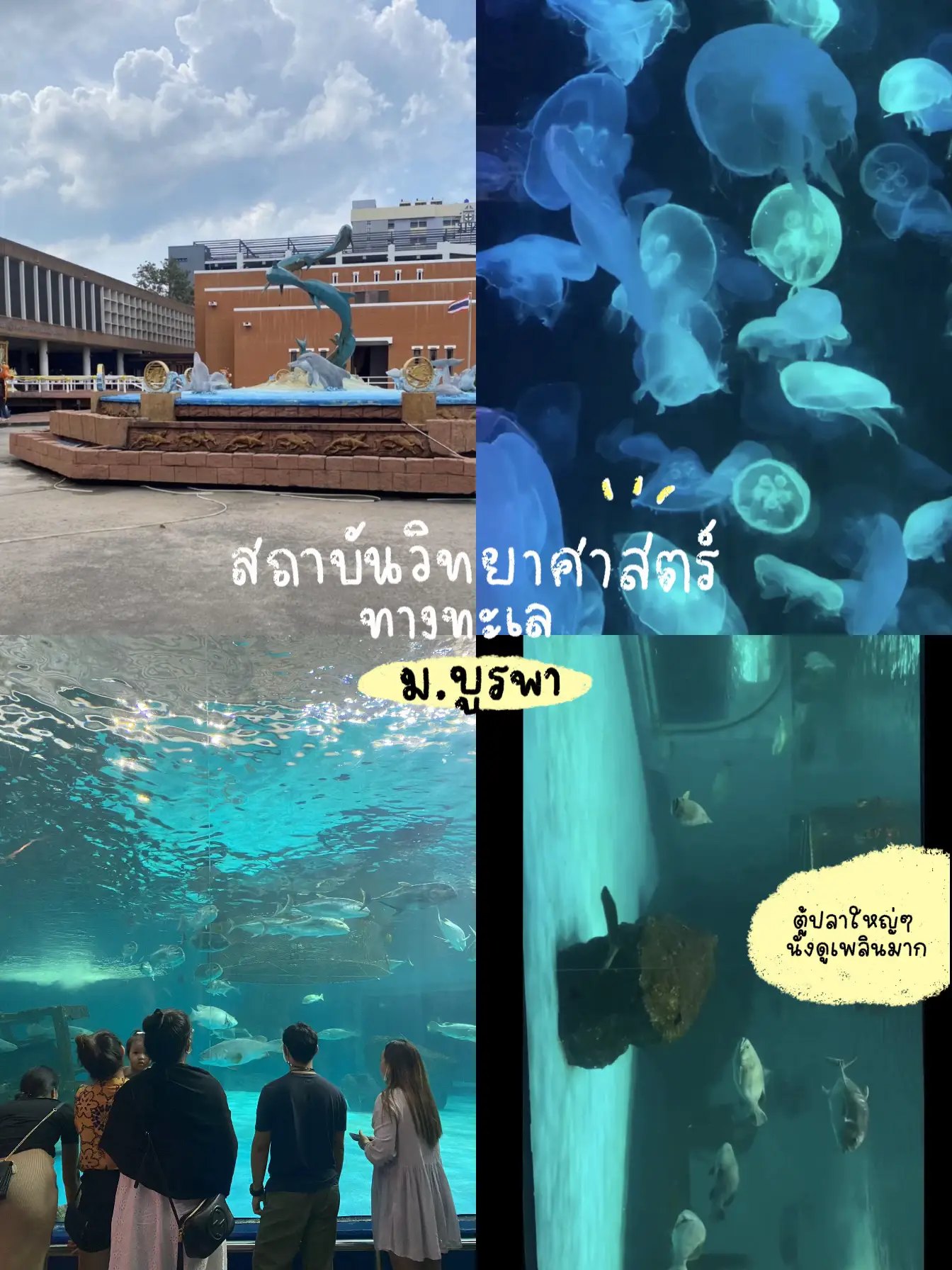 1-day-trip-in-bangsan