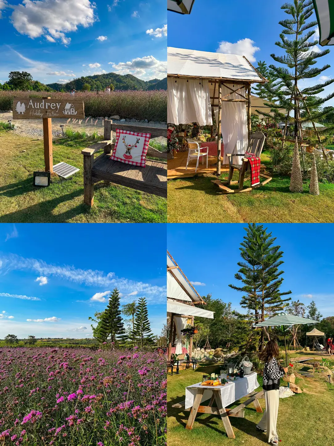 🌳⛰️ Audrey Hobby Farm ฟาร์มคาเฟ่เปิดใหม่เขาใหญ่ 🌷 แกลเลอรีที่โพสต์โดย