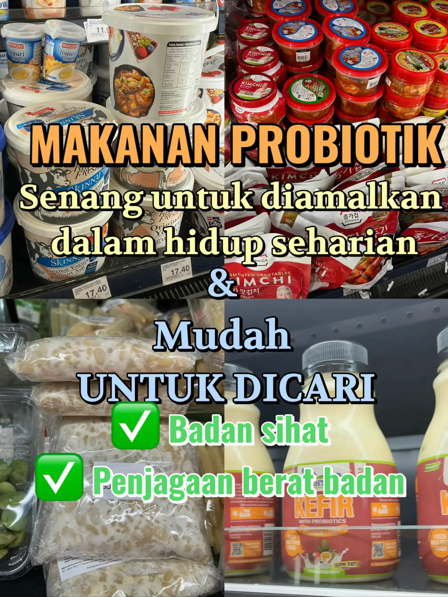 MANFAAT MAKANAN PROBIOTIK DIAMALKAN & MUDAH DICARI | Galeri Disiarkan ...