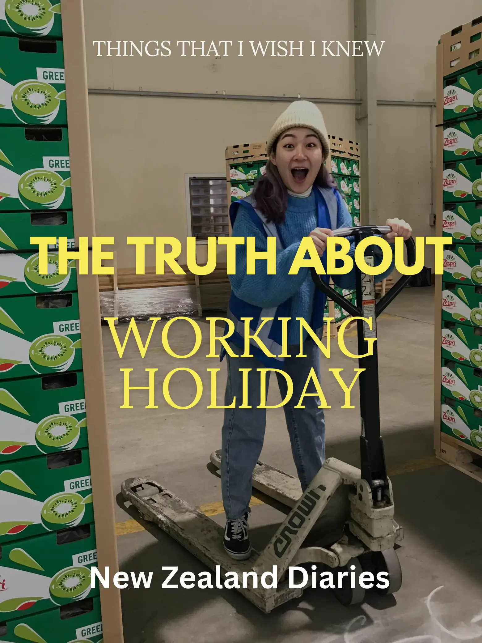 HARD TRUTH of working holiday that I wish I knew 🥲, Gallery posted by  Wern