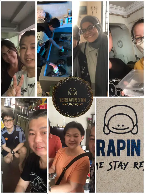 Terrapin Boarding House แกลเลอรีที่โพสต์โดย Terrapin San SG Lemon8