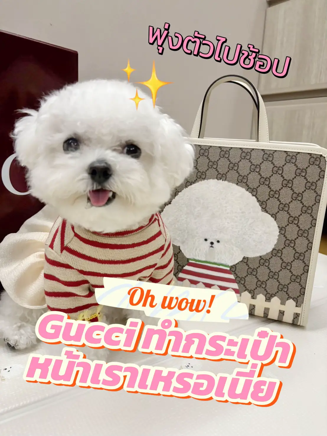 グッチが私たちの前でバッグを作ったとき! | หมาNami Bichon が投稿したフォトブック | Lemon8