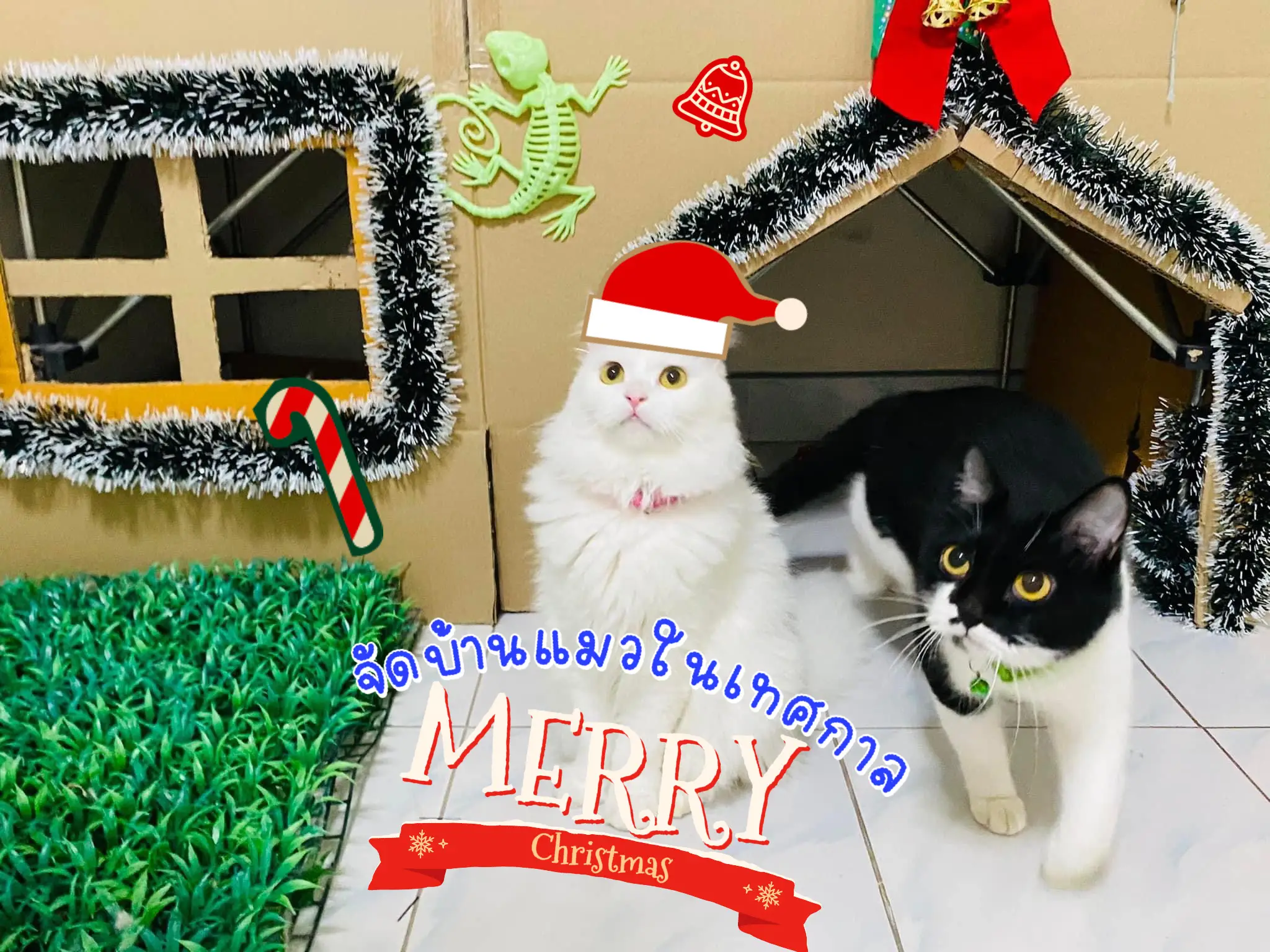 Arrange a cat house at merry Christmas season | Gallery posted by Aommee  ชอบรีวิว | Lemon8