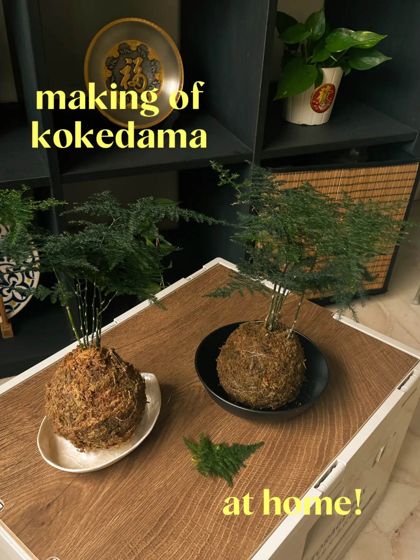 How to Make a Kokedama