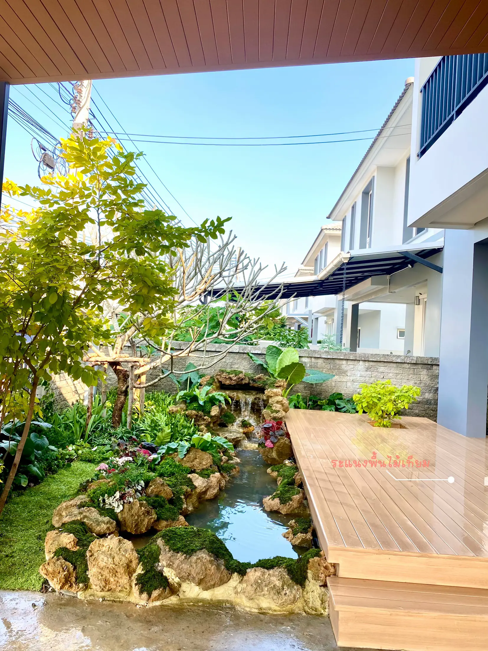 จัดสวนหน้าบ้าน | แกลเลอรีที่โพสต์โดย Nok | Lemon8