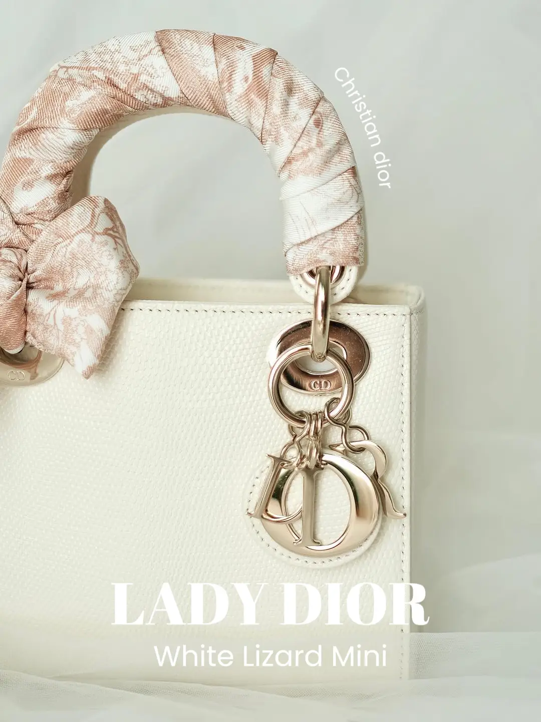 Lady dior lizard price hot sale