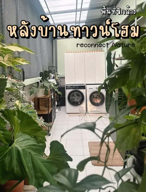 ไอเดียพื้นที่ซักล้างหลังบ้านทาวน์โฮม | แกลเลอรีที่โพสต์โดย อยู่เย็นเป็น ...