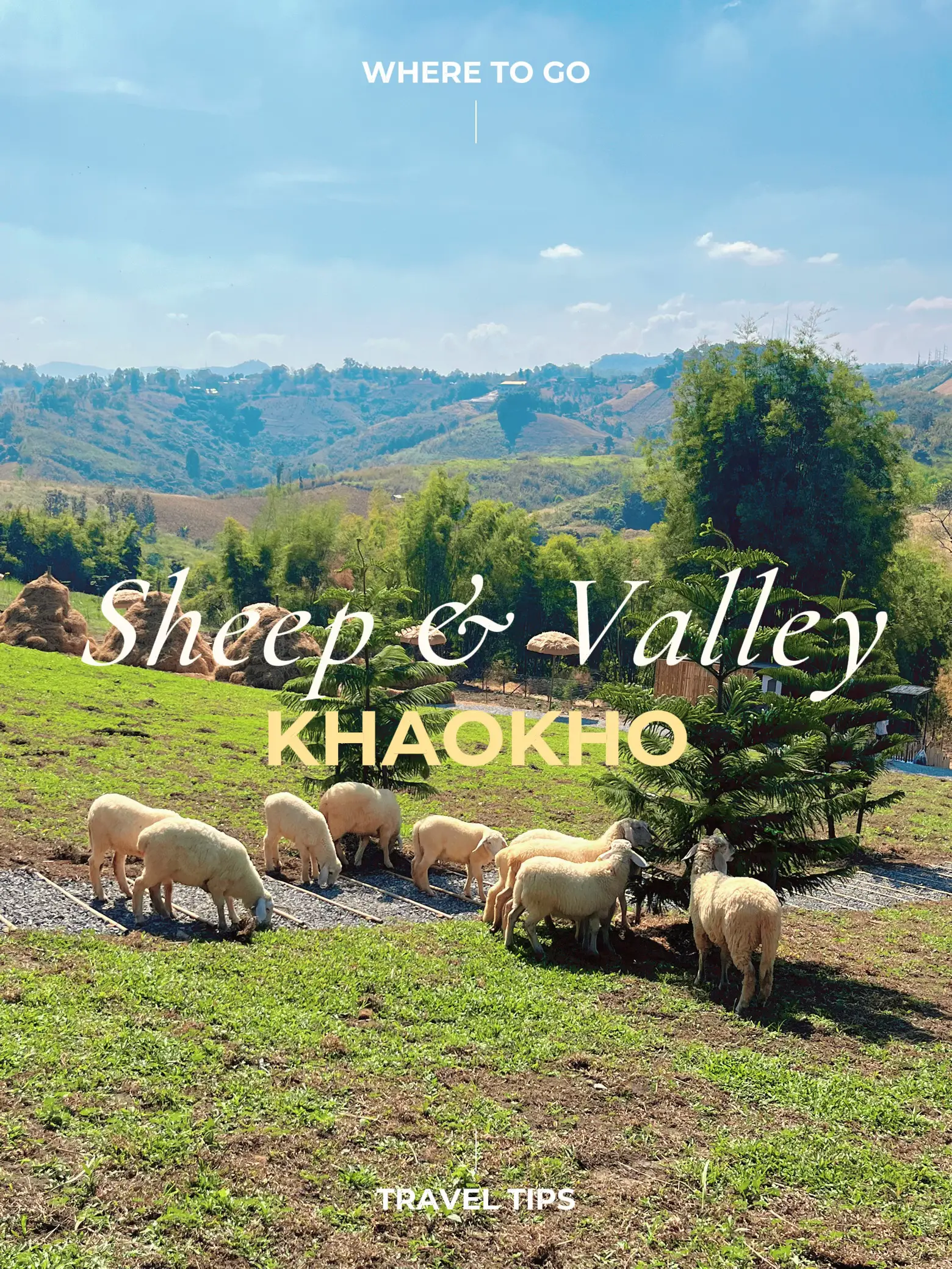 Sheep & Valley | แกลเลอรีที่โพสต์โดย Ben'Pattaraporn | Lemon8