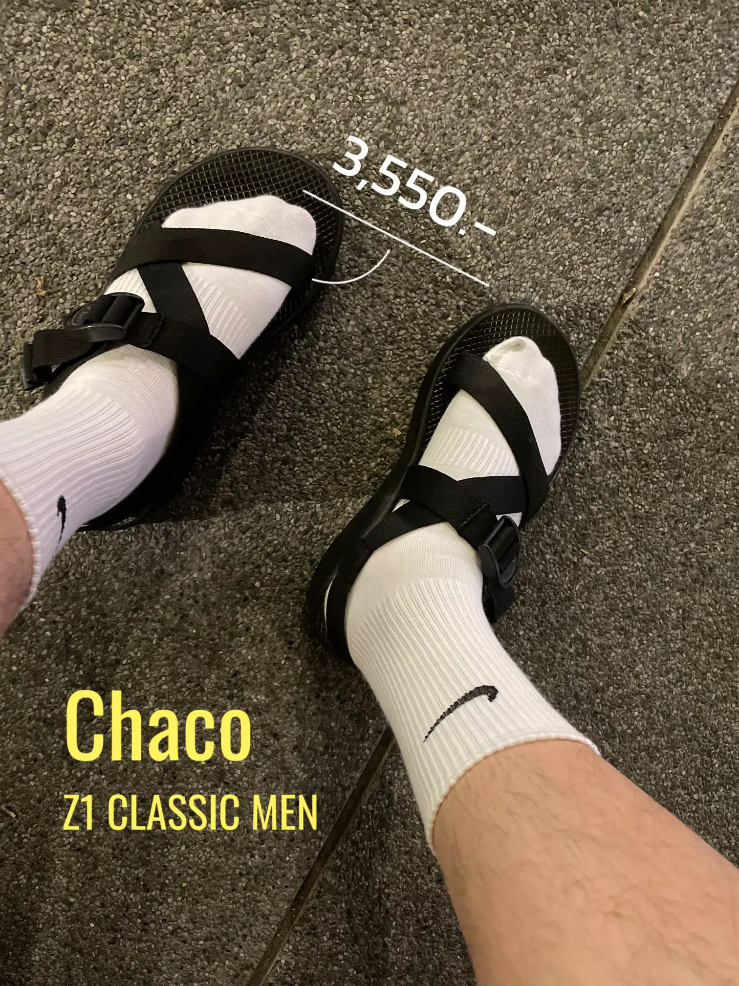 Chaco Lemon8