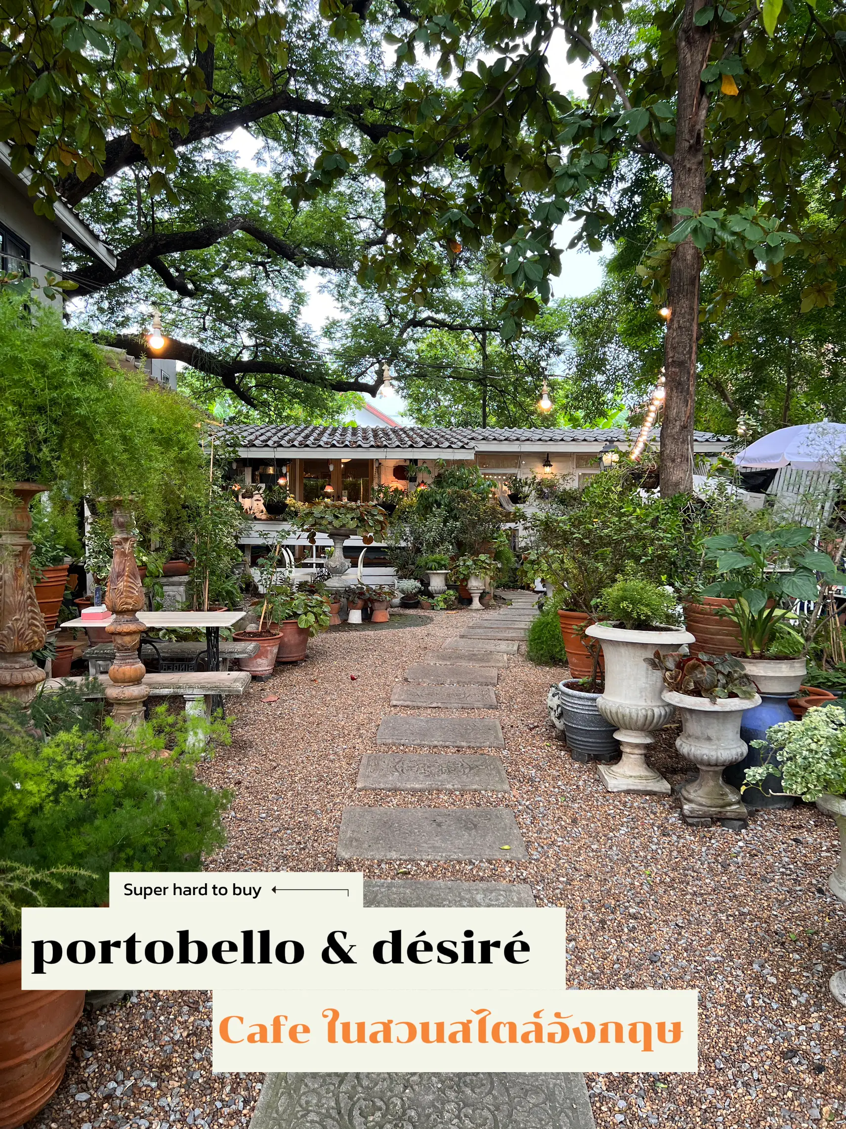 portobello & désiré แกลเลอรีที่โพสต์โดย JayJay😊 Lemon8