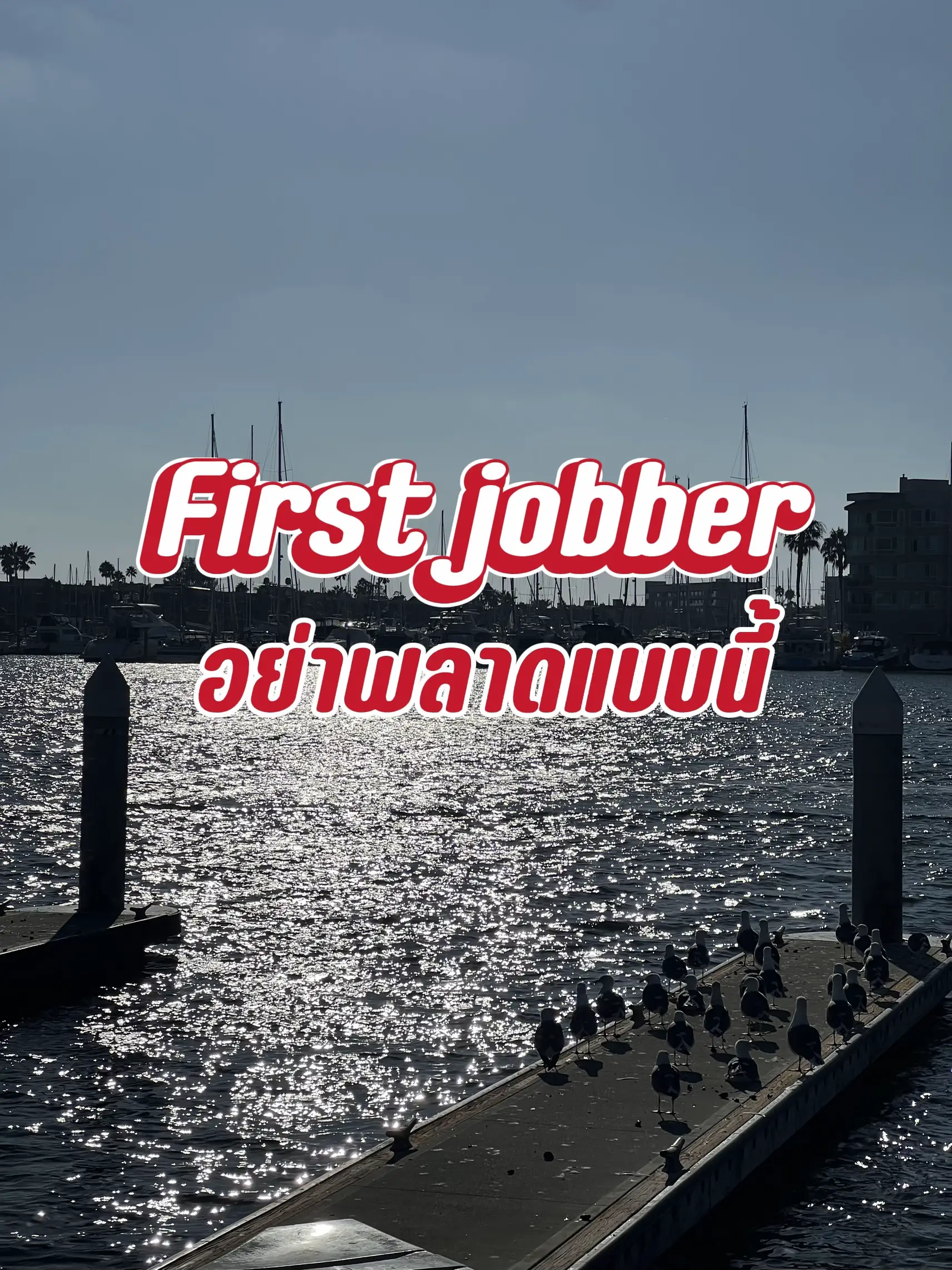 First Jobber ฉบับเด็กสายโลจิส💐 | แกลเลอรีที่โพสต์โดย NTX | Lemon8