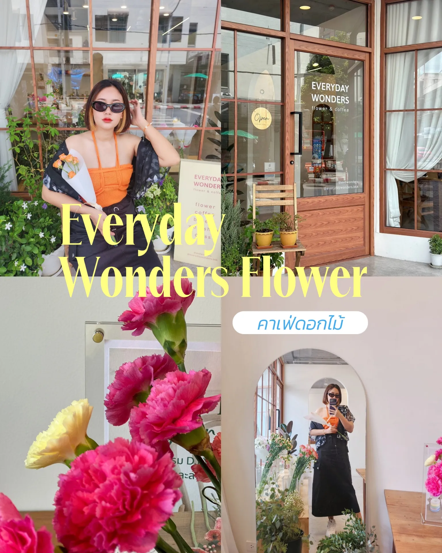 Everyday Wonders Flower แกลเลอรีที่โพสต์โดย PAI check in Lemon8