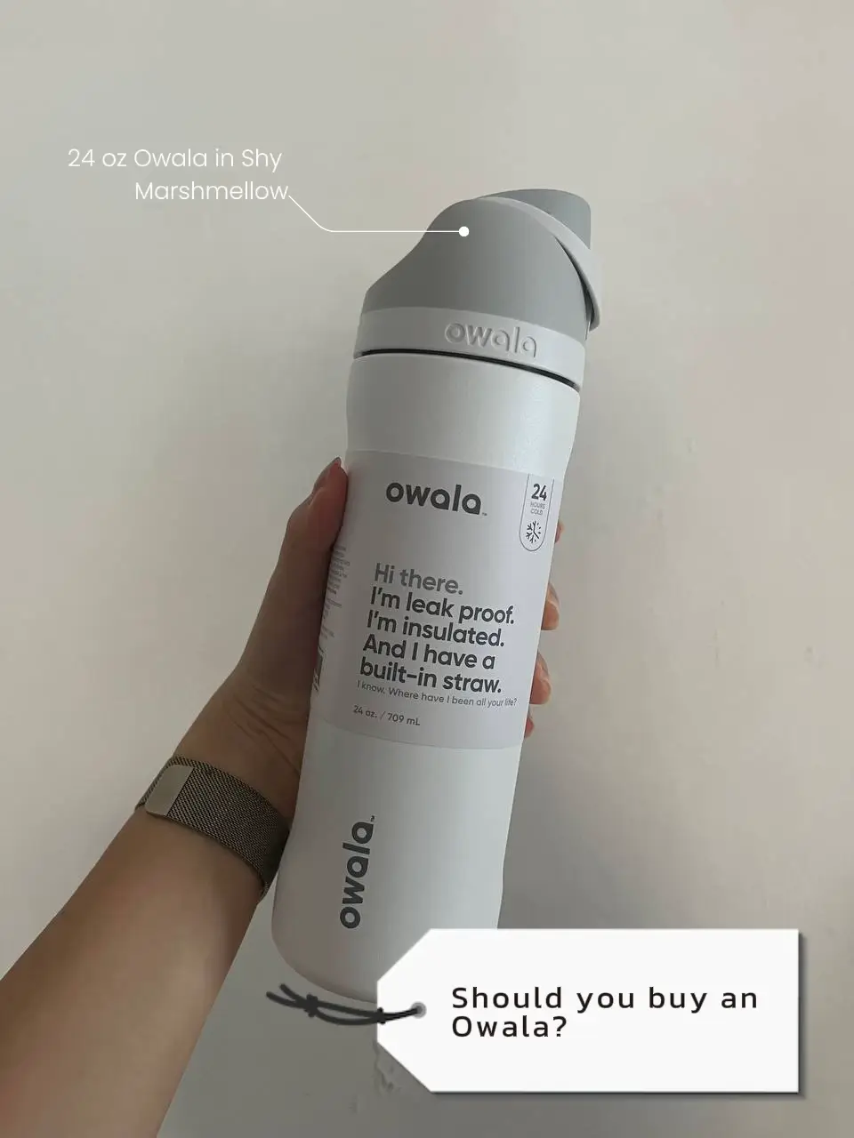Owala FreeSip 24oz Stainless Steel Water Bottle - Honest