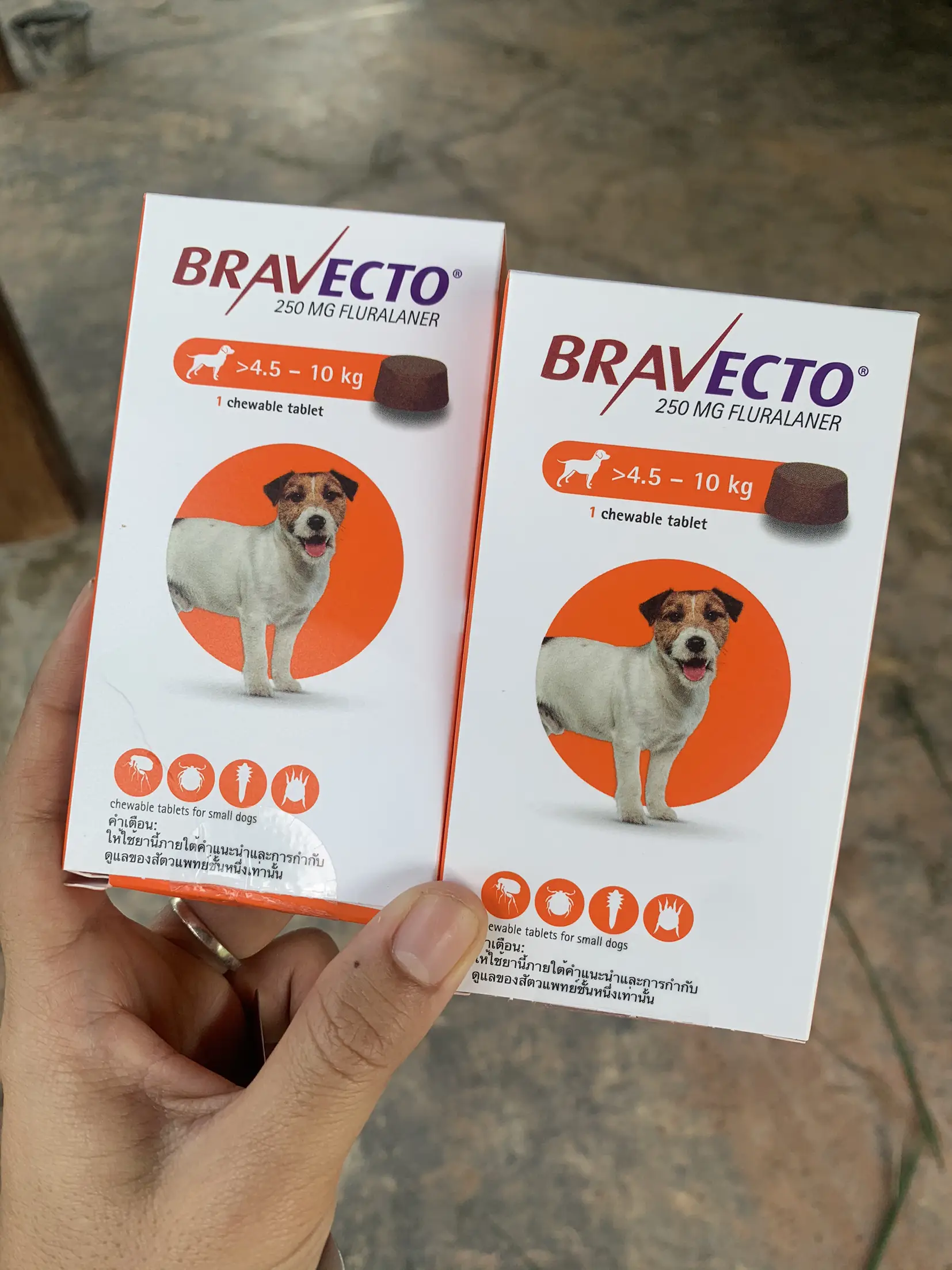 Bravecto 2024 at walmart