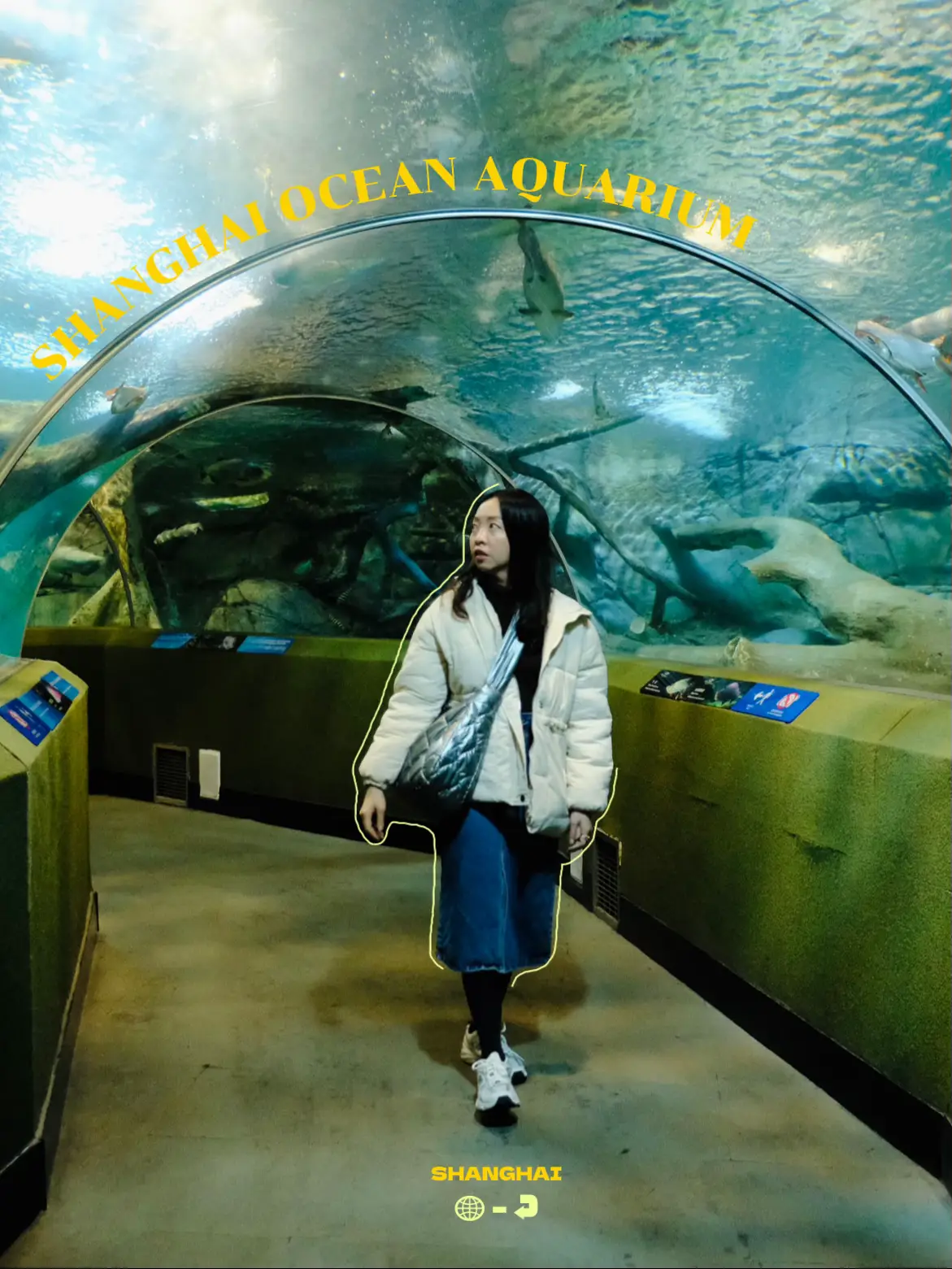 SHANGHAI OCEAN AQUARIUM 🐟 | แกลเลอรีที่โพสต์โดย ไปไหนกัน | Lemon8