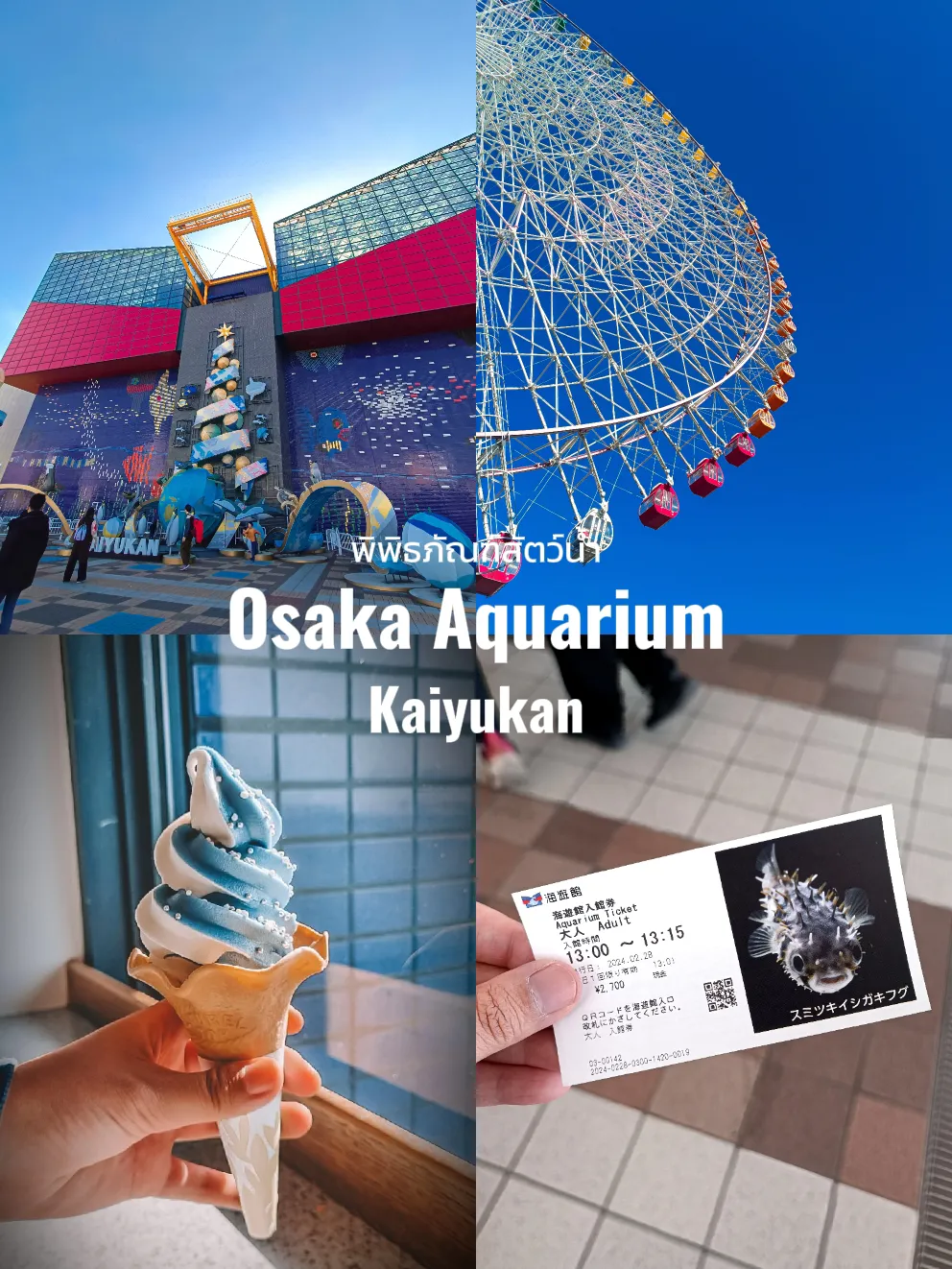 Osaka Aquarium Kaiyukan พิพิธภัณฑ์สัตว์น้ำไคยูคัง | แกลเลอรีที่โพสต์โดย ...