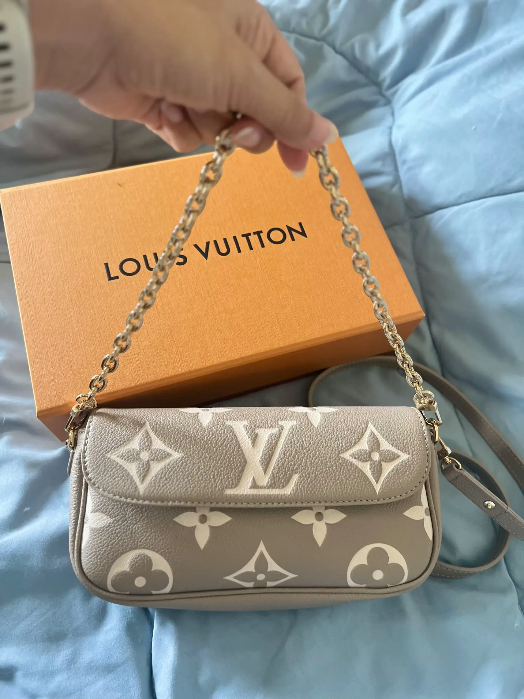 Louis Vuitton LV Ivy Wallet On Chain Grey 23.5 x 12 x 4.3 cm in