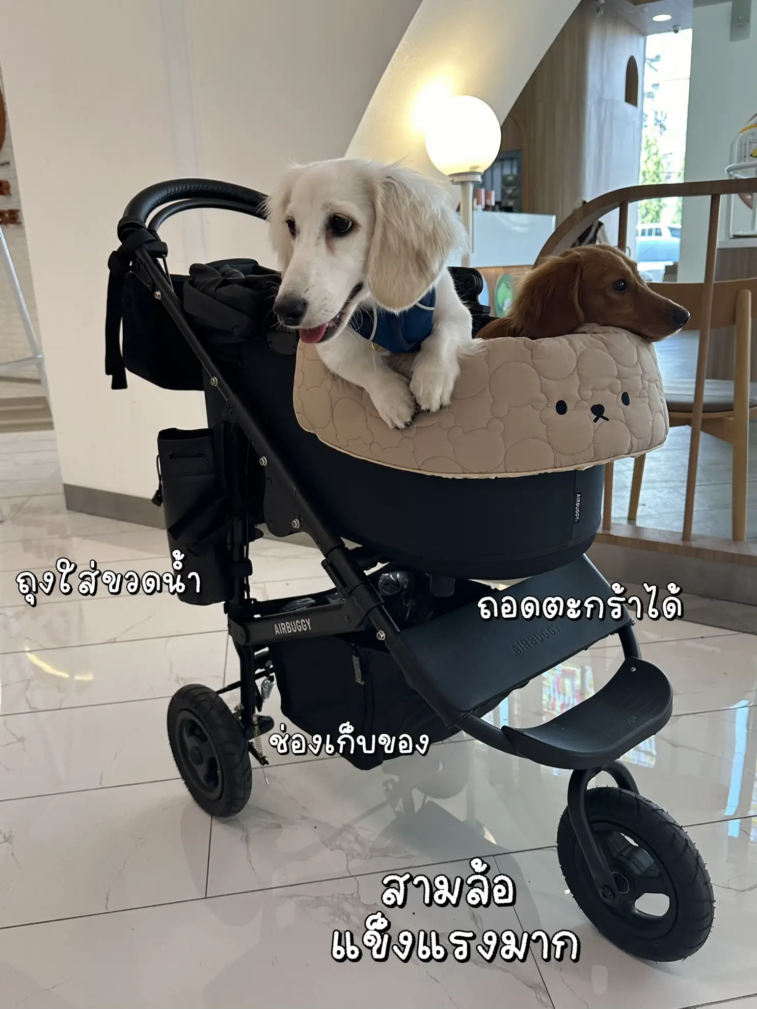 犬用カート1台あたり25 K!! แก๊งสี่กุมาร ????が投稿したフォトブック Lemon8