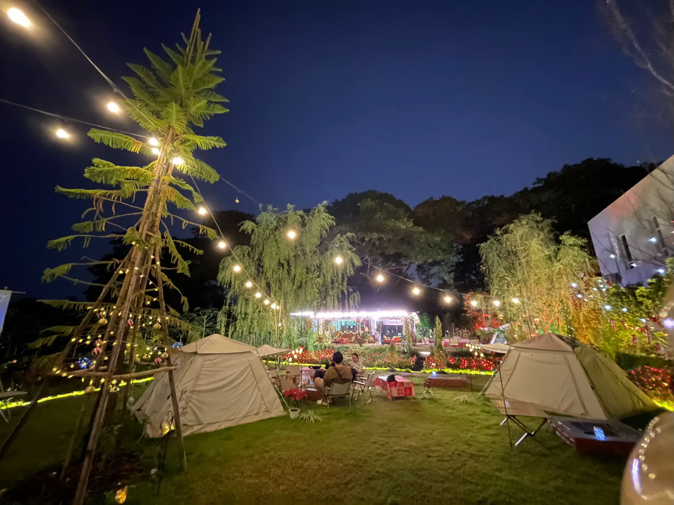 Camp & grill เชียงใหม่ น้องหมาเข้าได้ไม่ต้องใช้สายจูง แกลเลอรีที่