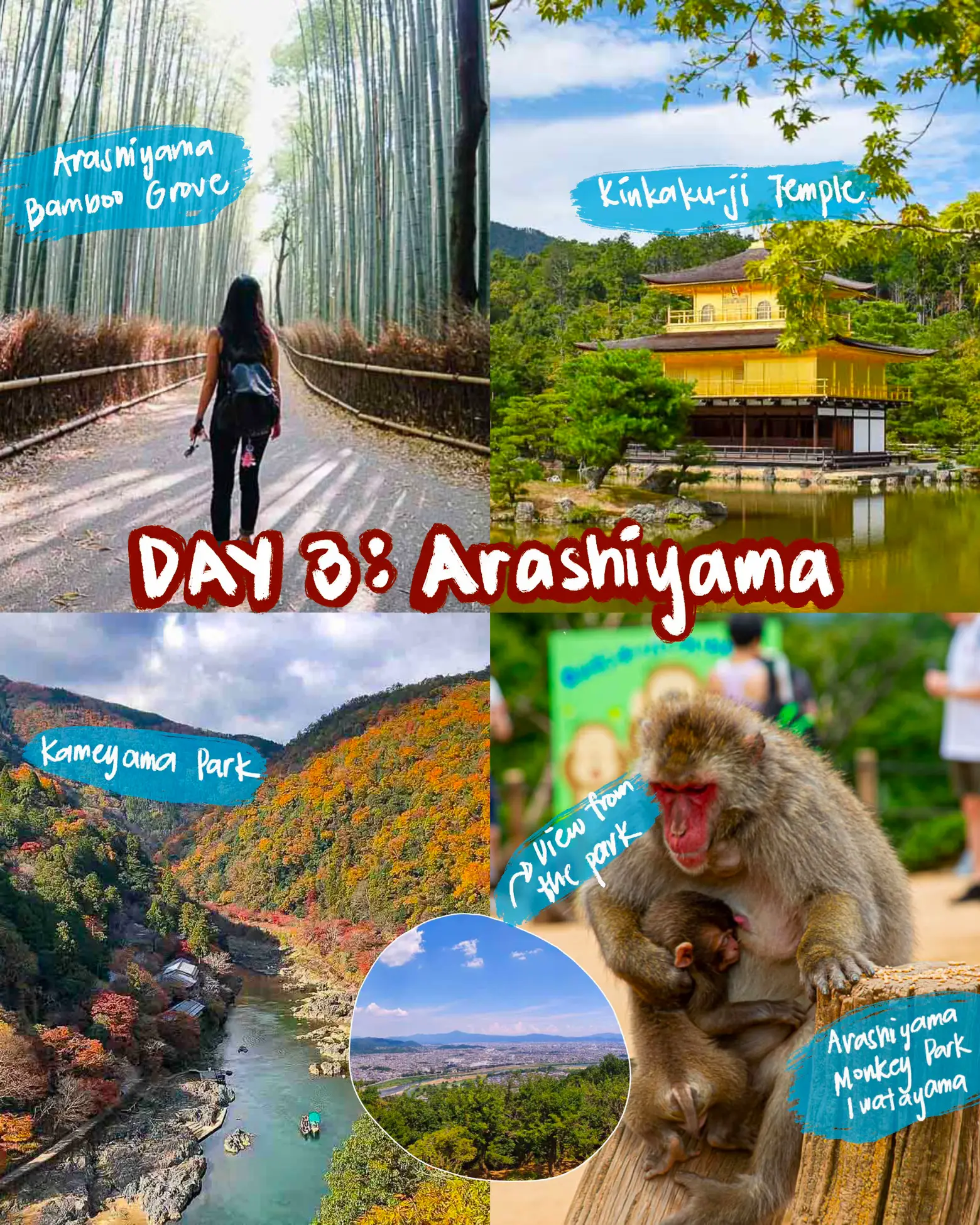  🍣🥢 6D5N Kyoto-based Itinerary (HIDDEN GEMS) 🇯🇵🎋's images(3)
