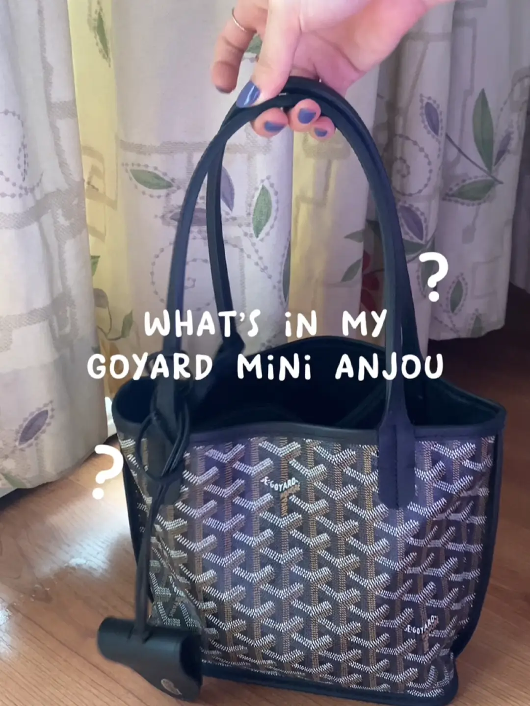 Jenis-Jenis Goyard Mini Anjou, Beli Disini! 