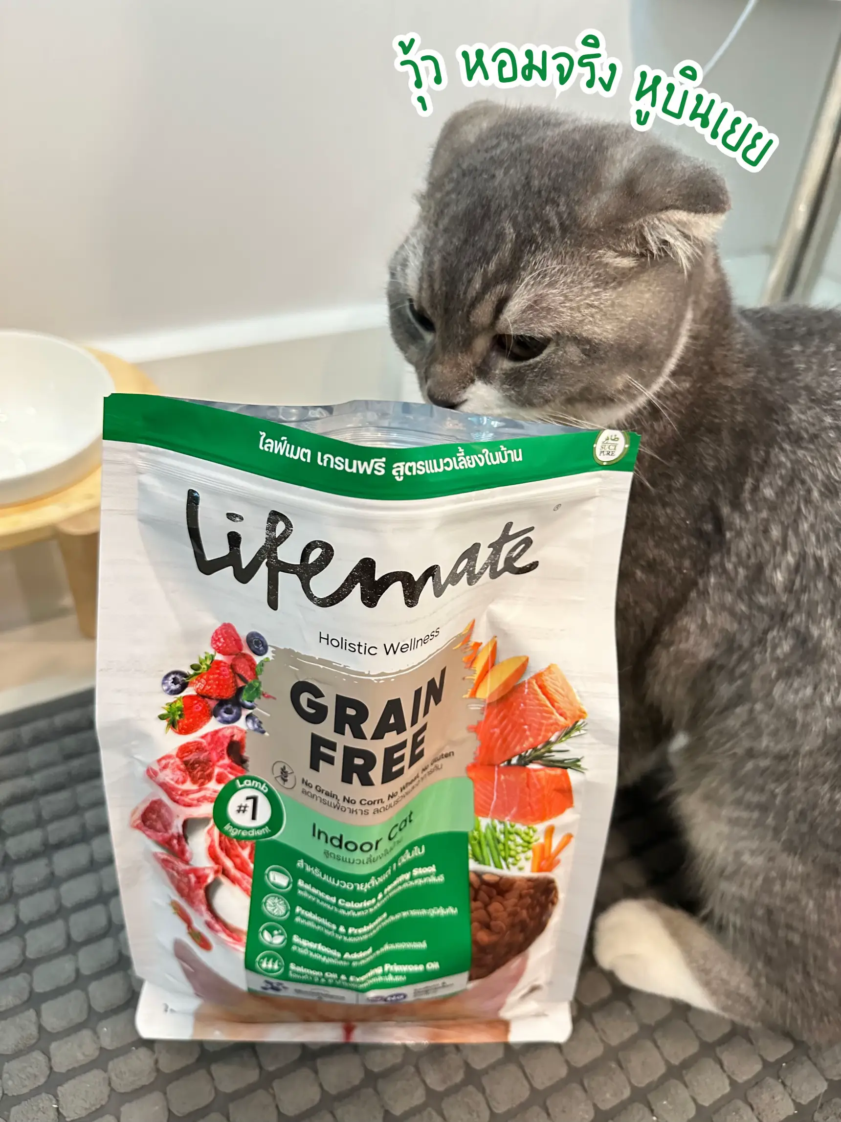 Lifemate cat food is not salty because sodium is low. Beautiful