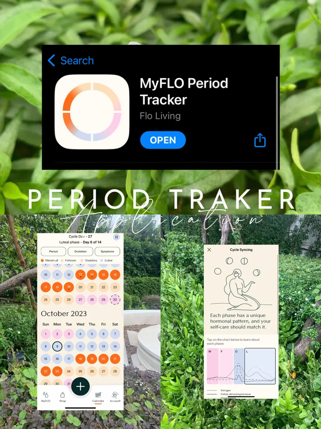 Myflo Program แนะนำแอปพลิเคชั่นสำหรับบันทึกประจำเดือน 🥀 🏻 | แกลเลอรีที่โพสต์โดย IRIN ...