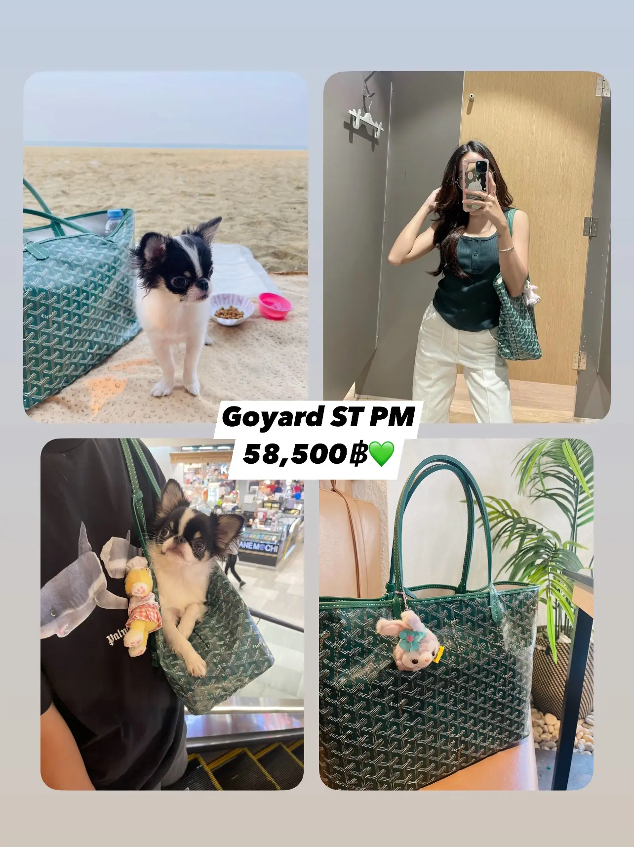 GOYARD TOTE BAG, Gallery posted by Mallory Lisa