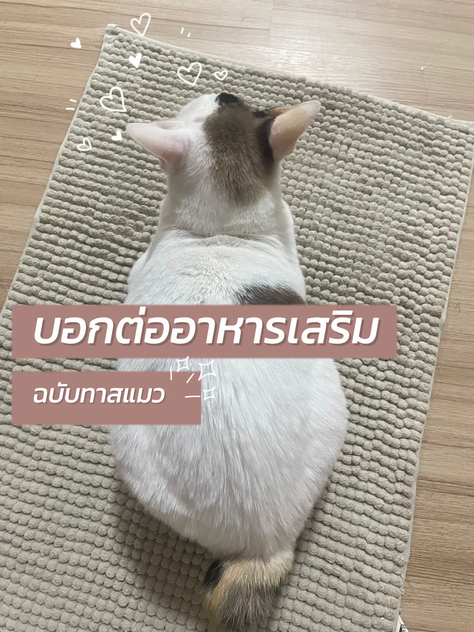 Easy Cat Nong Supplement with 7-11 🥰 | Gallery posted by JAMJUNG ̈ | Lemon8