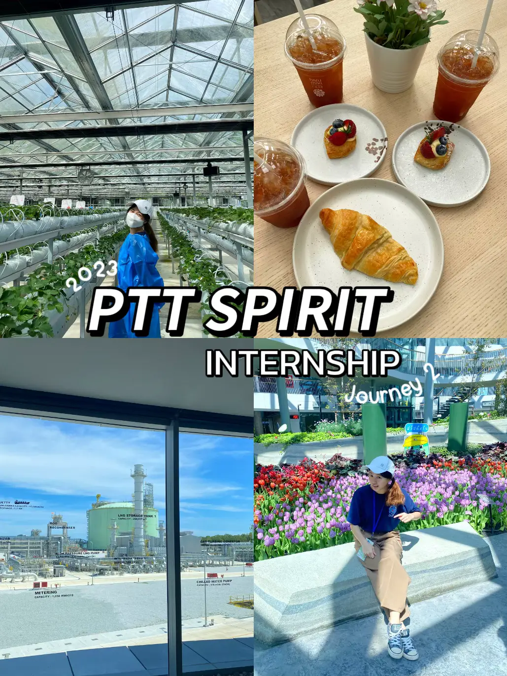 Intern Reviews PTT ep3 Journey IISite Visit👀 Gallery posted by