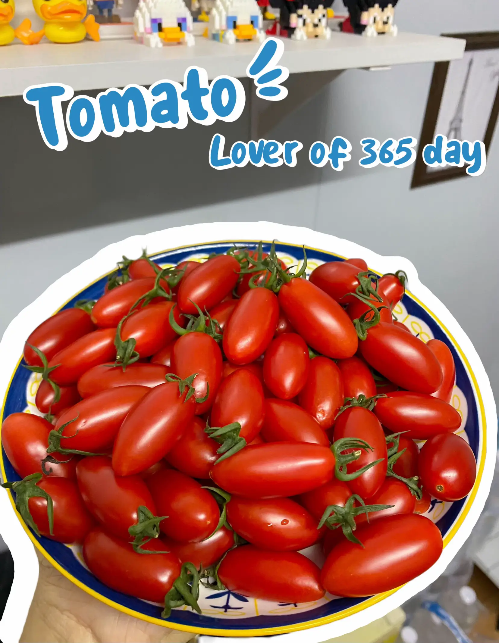 tomato-lover