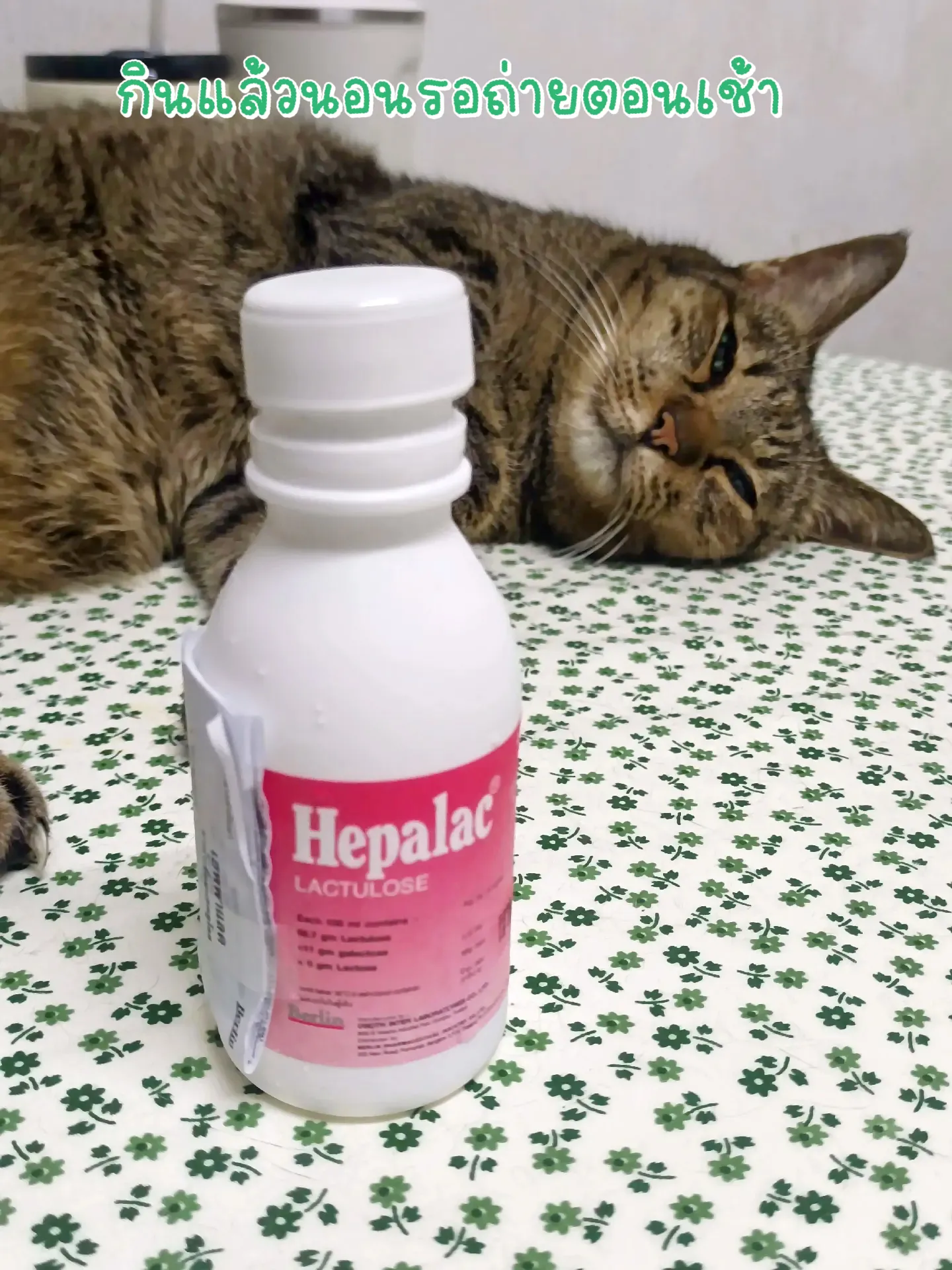 เมื่อท้องผูก ยาระบายกินได้ไม่ต้องกลัวติด | แกลเลอรีที่โพสต์โดย 😂KhunNut ...