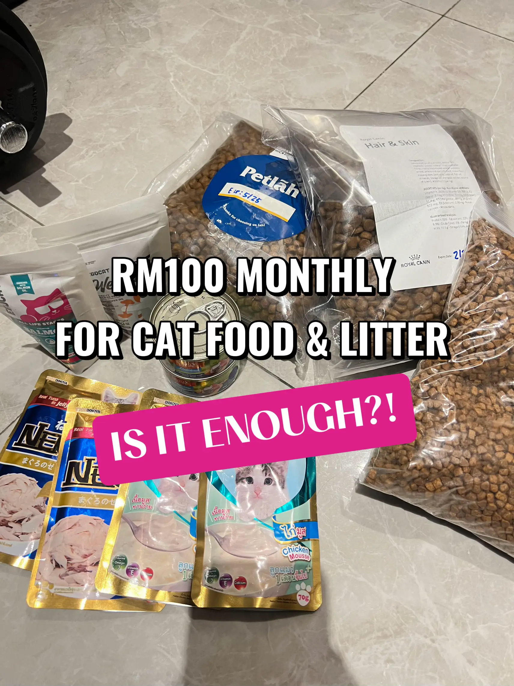 HOW MUCH DOES IT COST TO OWN A CAT IN MALAYSIA? Galeri disiarkan oleh