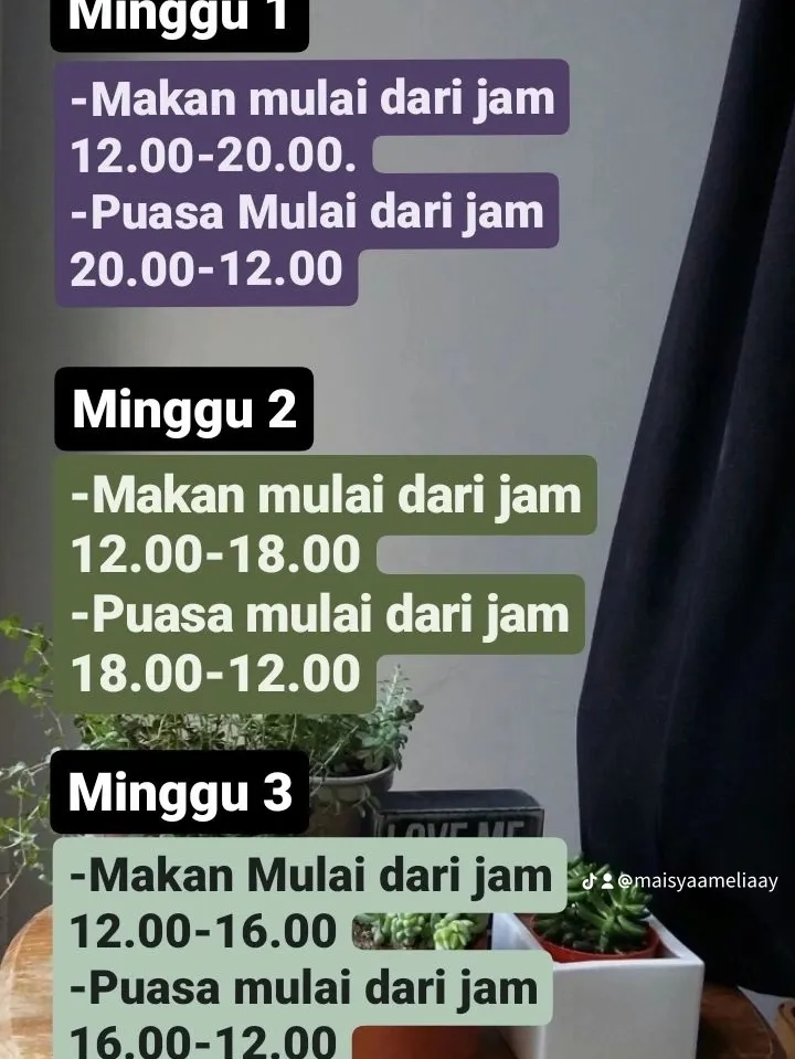 Jadwal Diet IF Untuk Pemula แกลเลอรีที่โพสต์โดย Cunnyi Lemon8