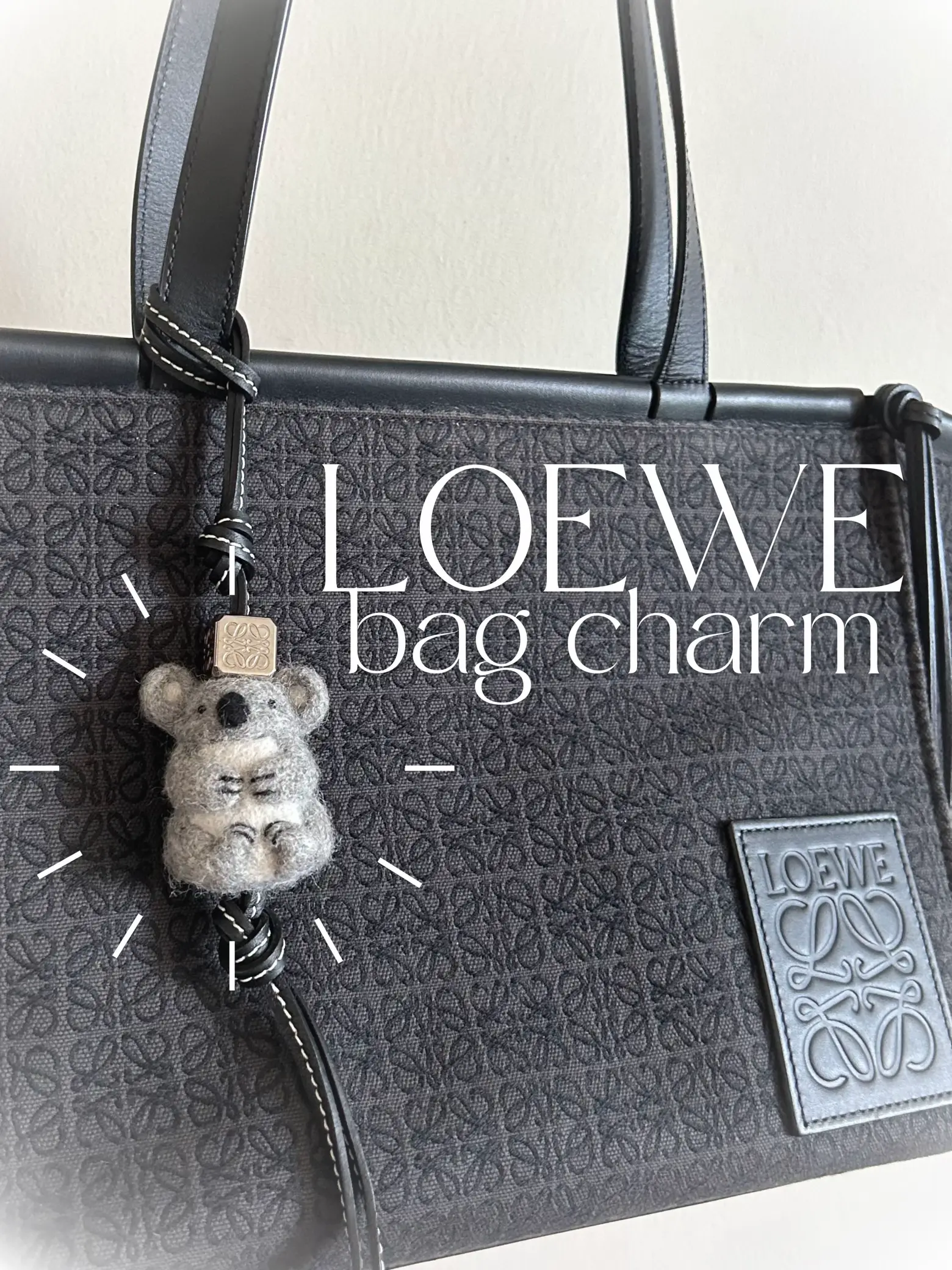 cutest loewe bag charm!!! worth the $? 👀's images(0)