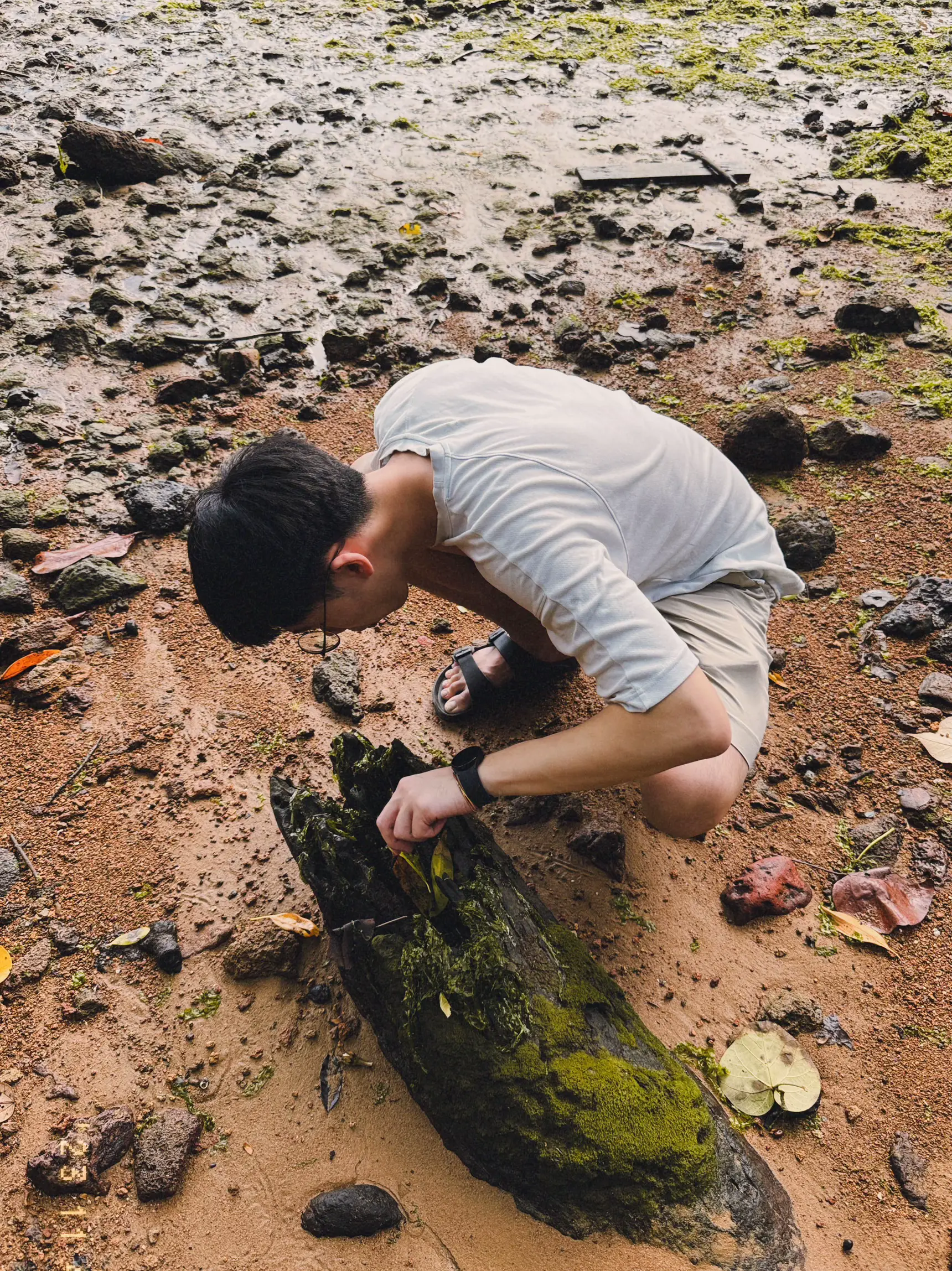 Potatoooo **TO KNOW before going to Pulau Ubin | Gallery posted by Potatoooo 🥔 ...