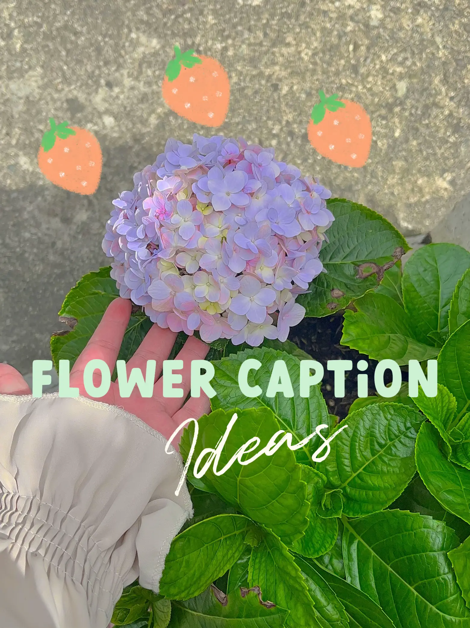 Flower caption ideas 🌸 Galeri disiarkan oleh s᥆rᥲ ᰔᩚ Lemon8