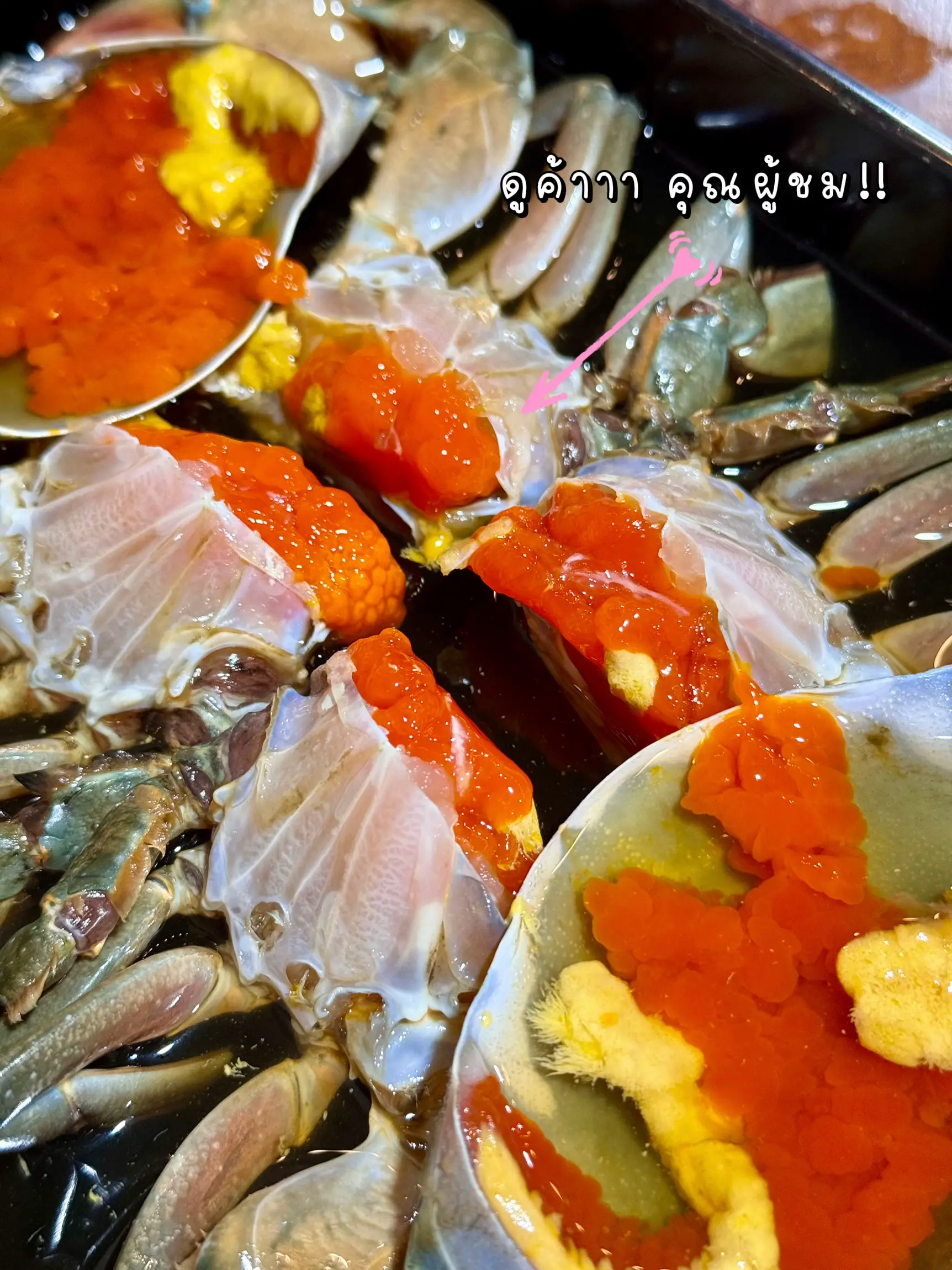 Nadja lapiedra niks indian