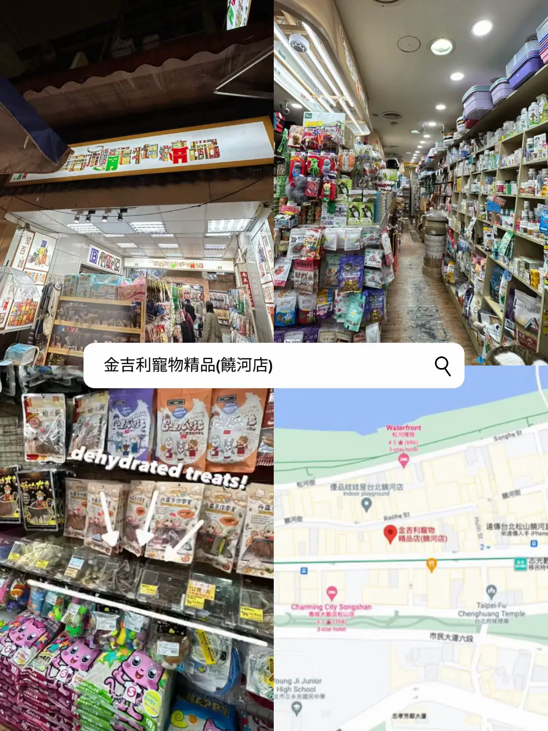 Travel Taiwan s 3 City Pet Shops Guide Gallery posted by