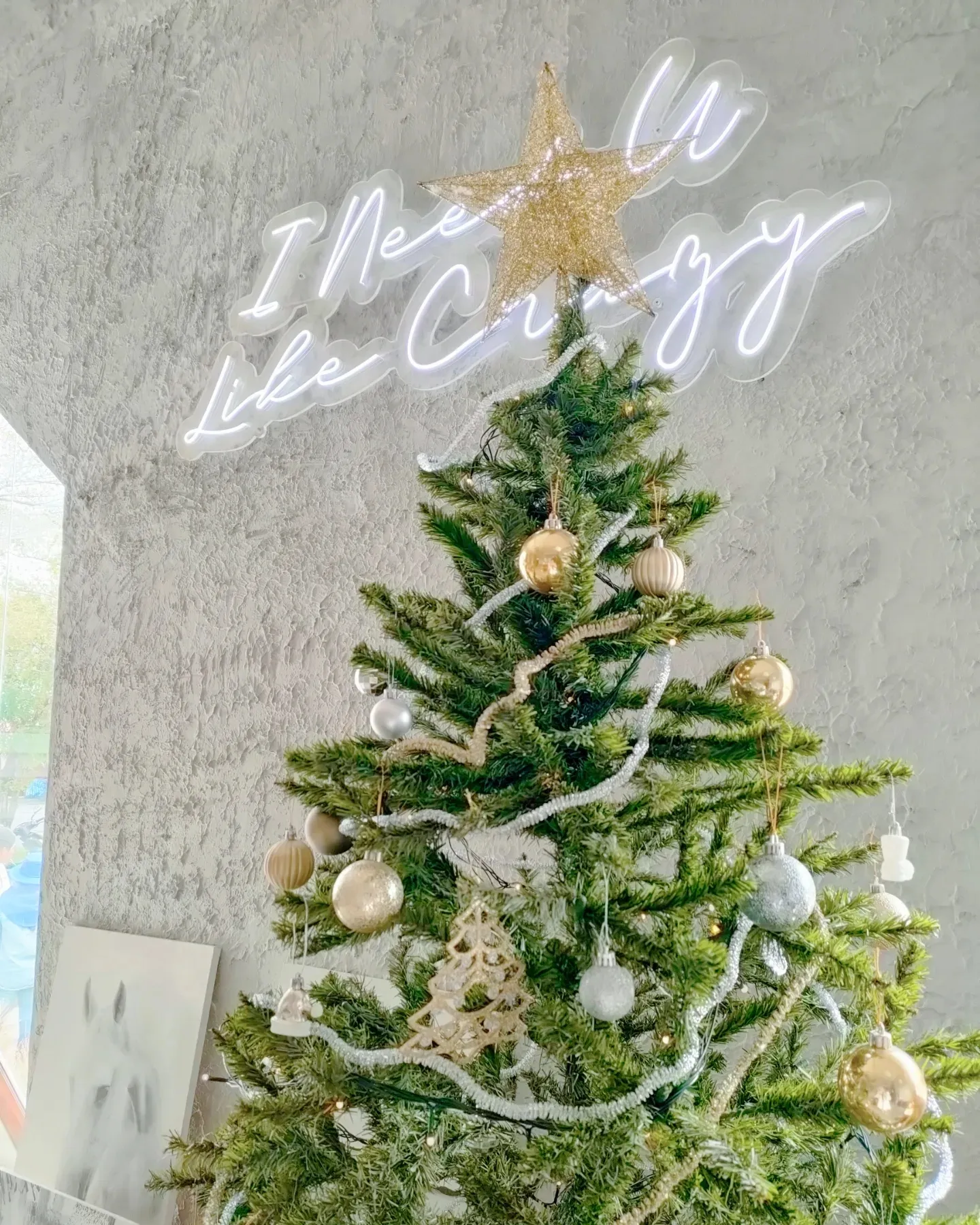 Merry Christmas 2023🎁🎄 แกลเลอรีที่โพสต์โดย Krufayecooking Lemon8 1977