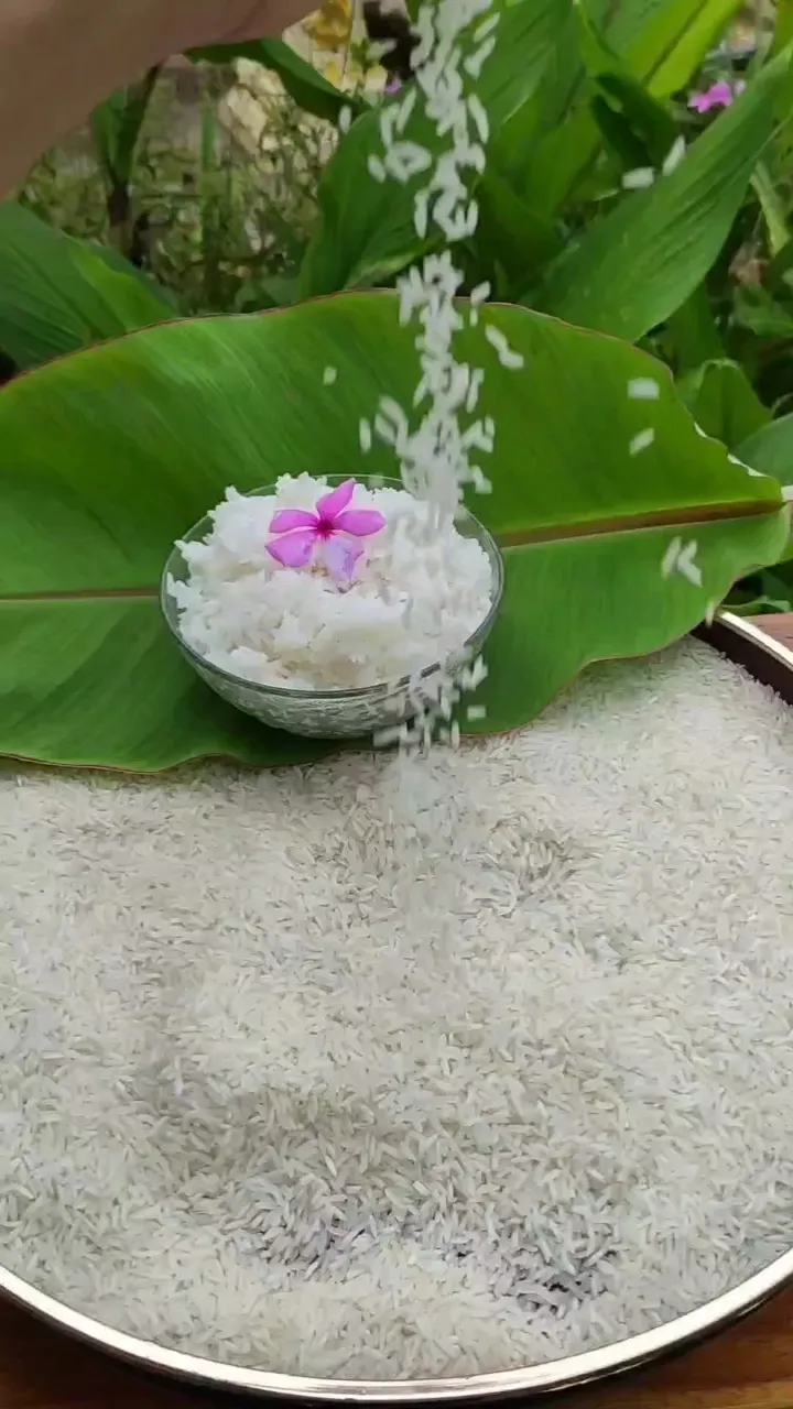 ข้าวหอมจัสมิน ตราบัวจะสมิน: คุณภาพและความหอมที่คุณวางใจ