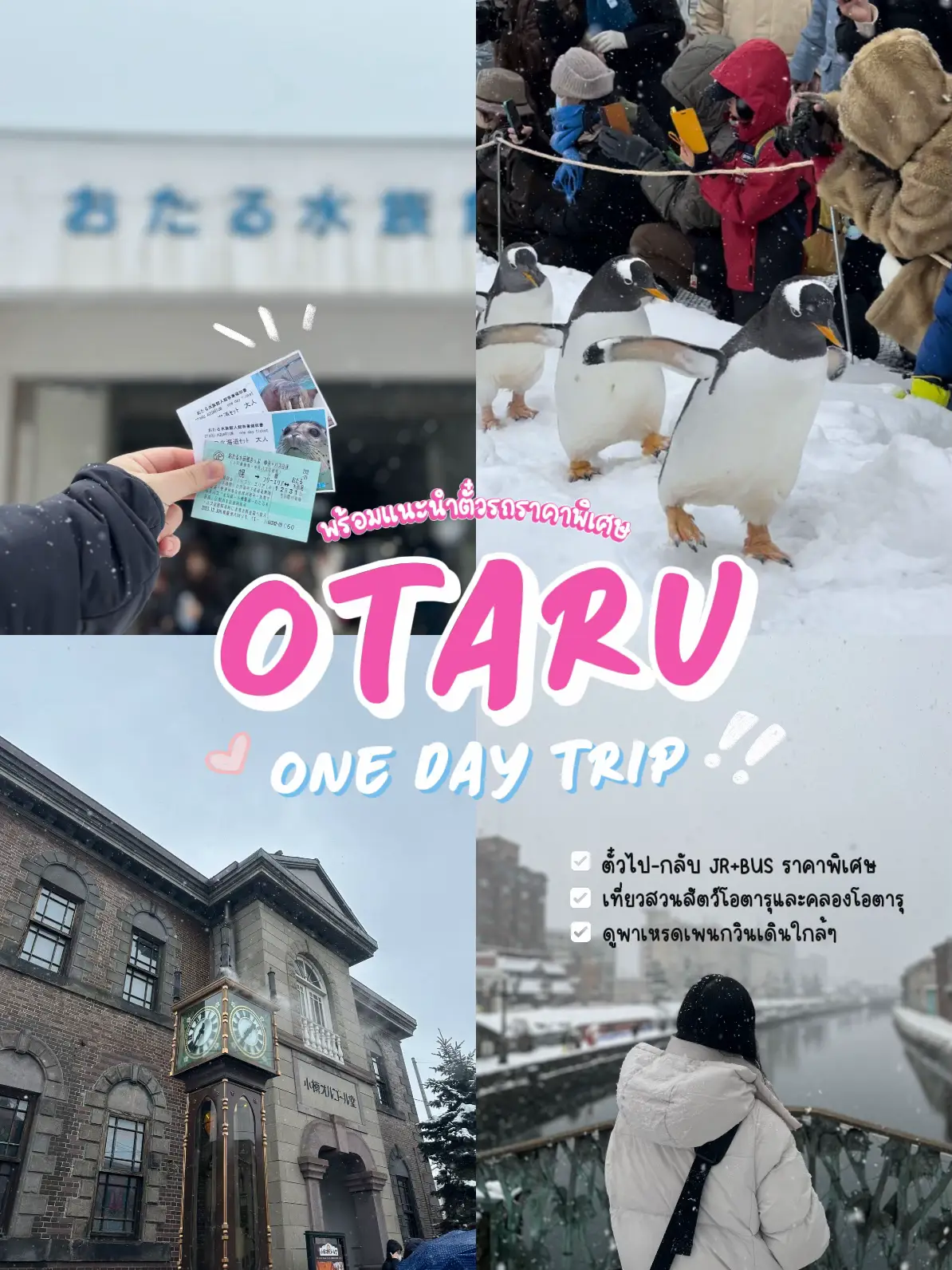 58 ไอเดียยอดนิยมเกี่ยวกับ Melon Ice Cream at Otaru Canal ในปี 2025
