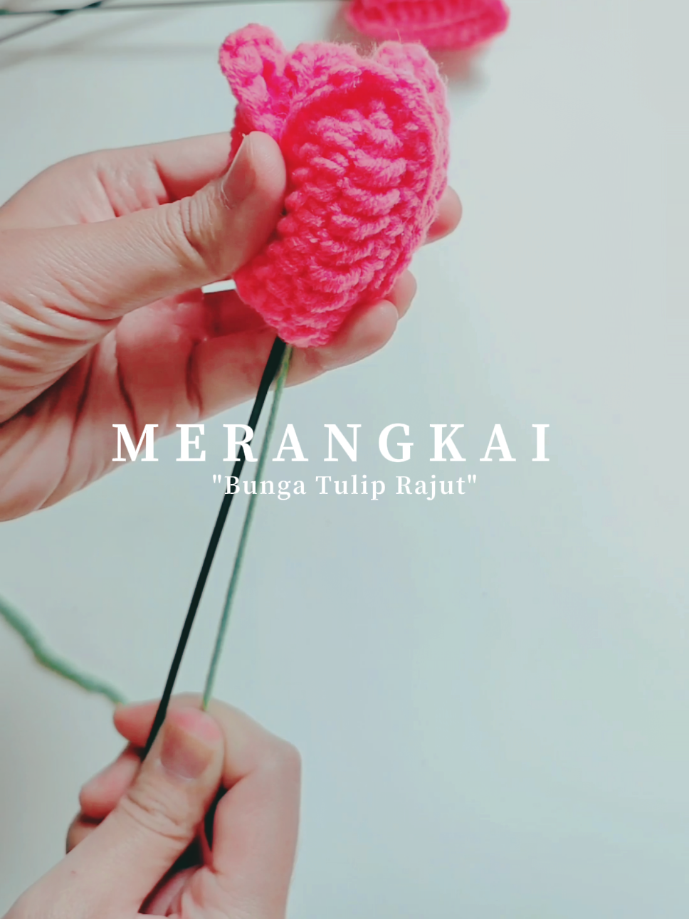 Merangkai Bunga Tulip Rajut, Video published by Meaw_Crochet😻