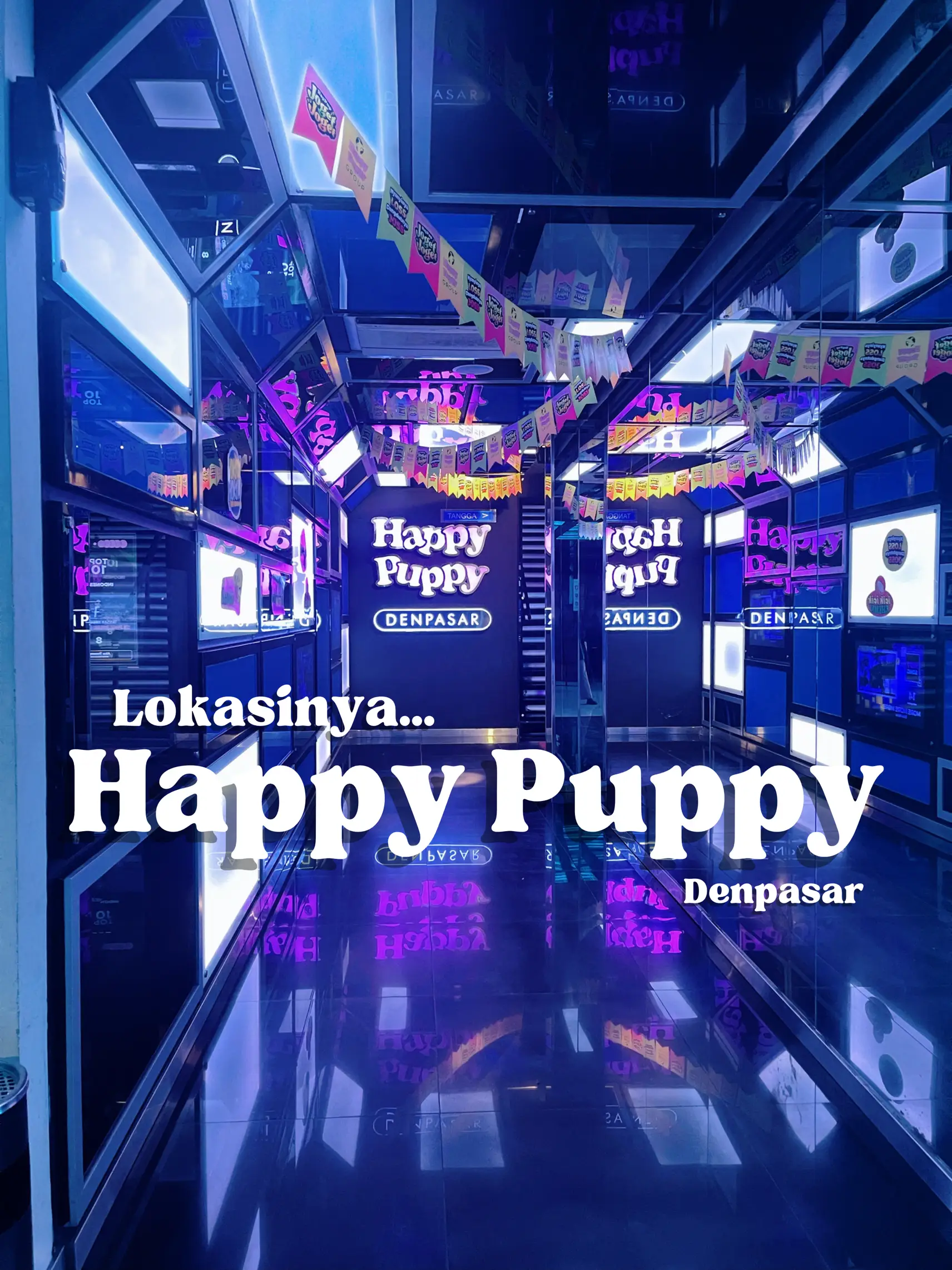 Harga happy 2024 puppy kemang