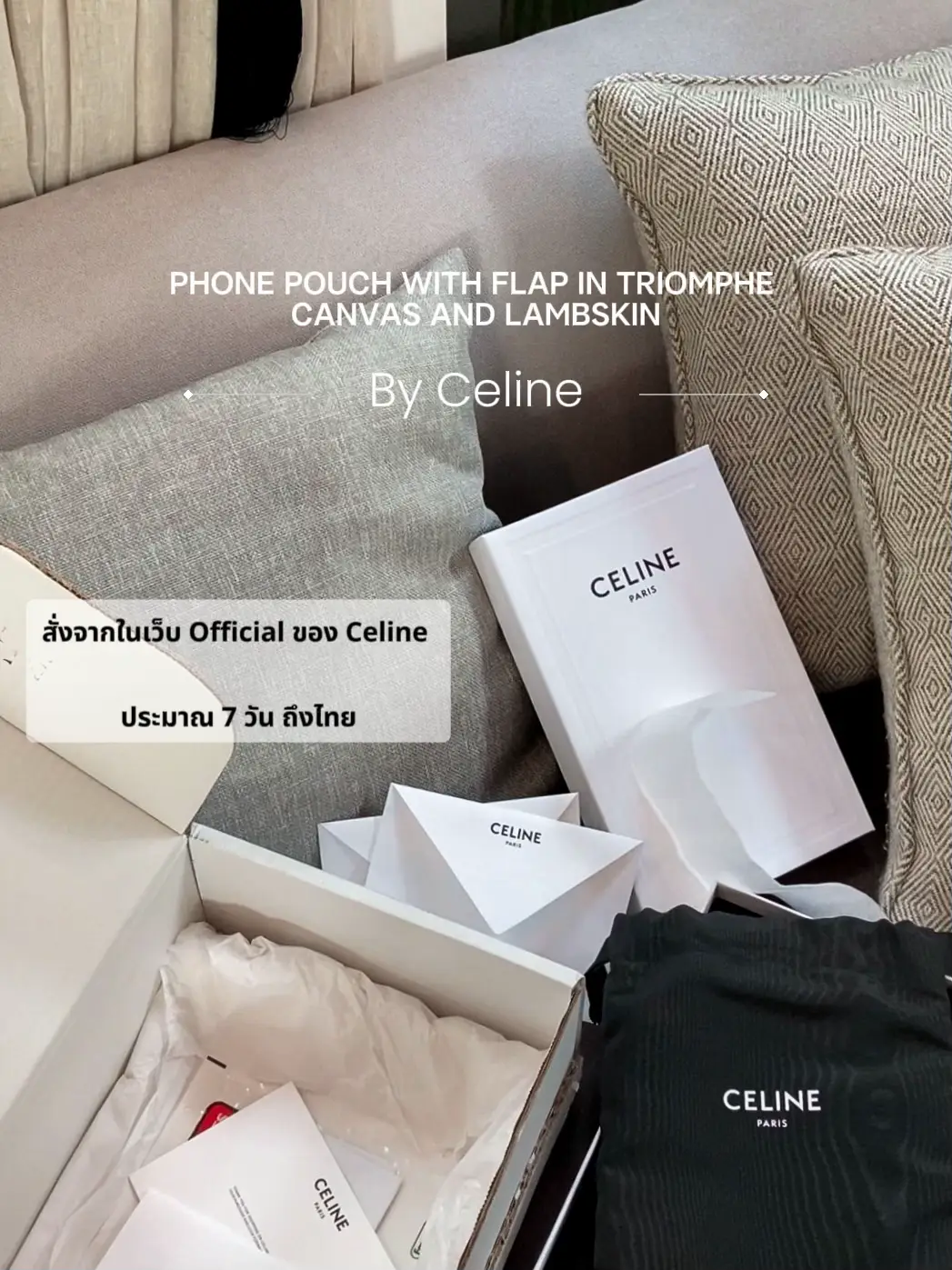 Celine phone pouch with flap in triomphe canvas and lamb skin in