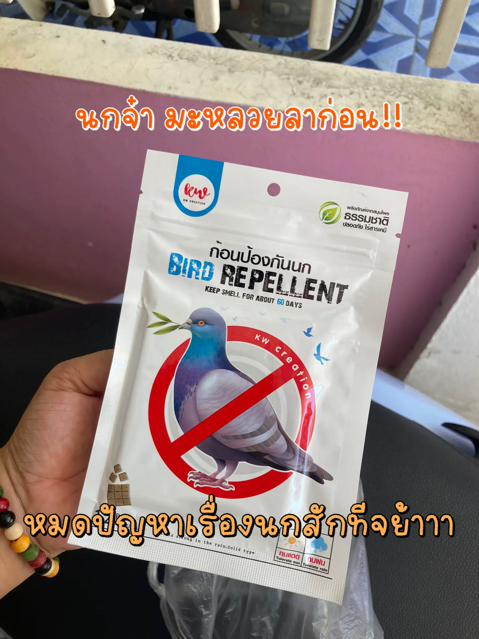 SAVE $1.2k by DIY your own insect nets 🦟, Video published by PUIPUI_HOME